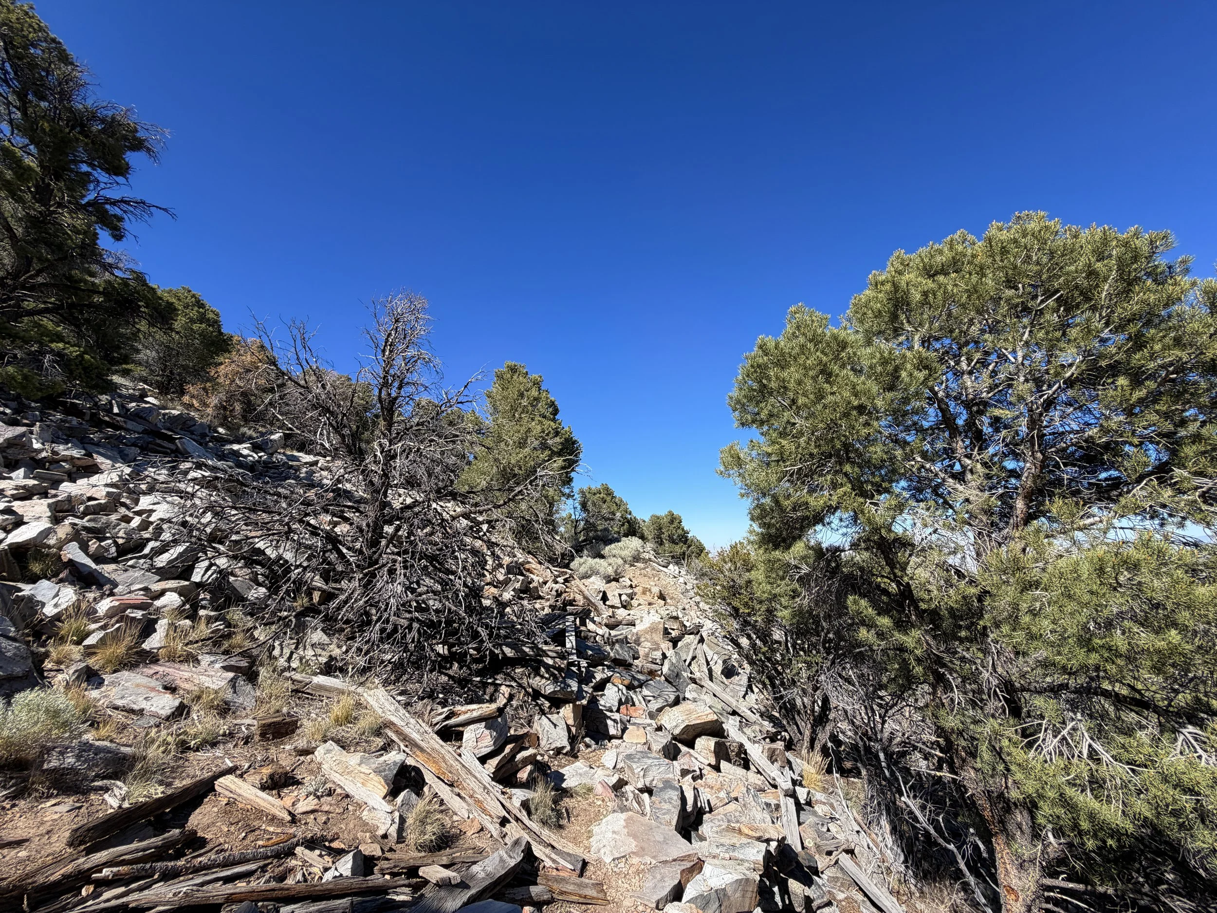 Osceola Ditch Hike Great Basin National Park Nevada