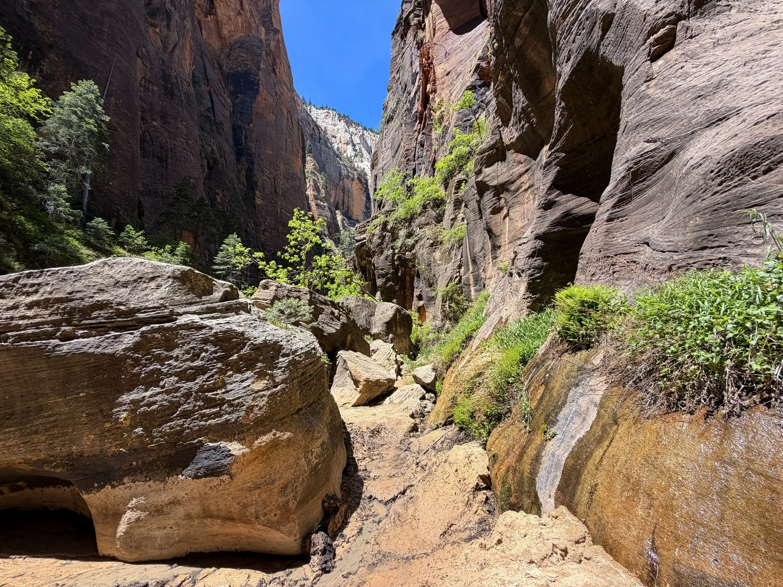 The Narrows Zion National Park Utah