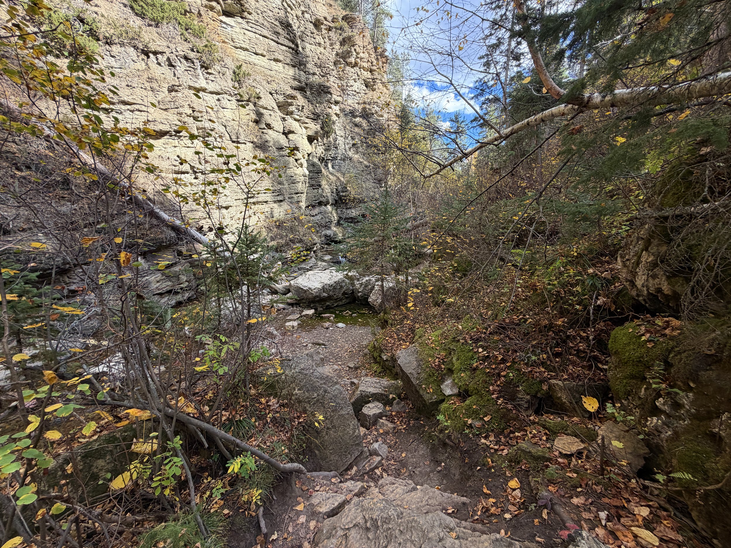 Devils Bathtub Trail Spearfish Canyon Black Hills South Dakota