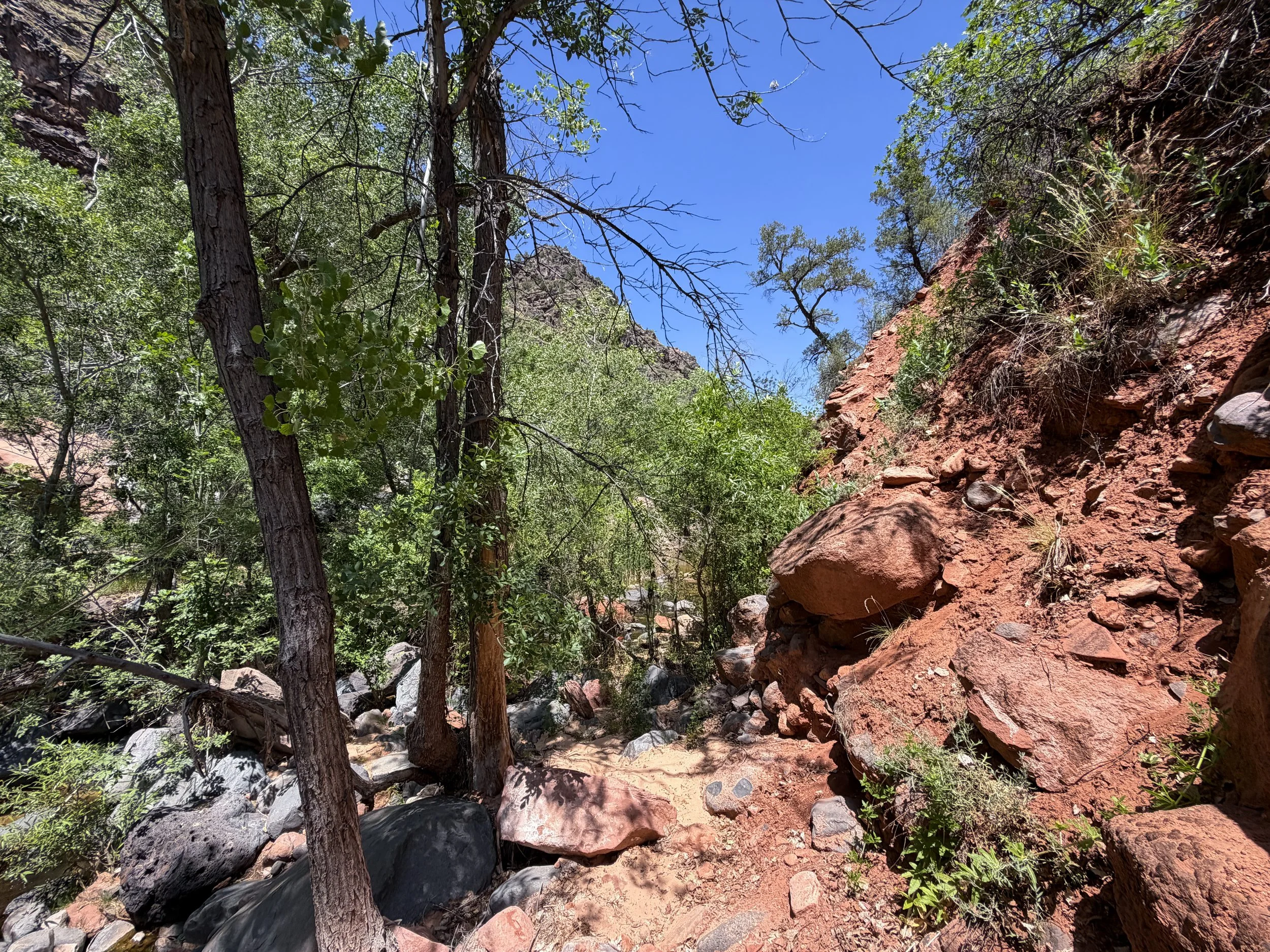 Grapevine Trail to Left Fork Falls Zion National Park Utah