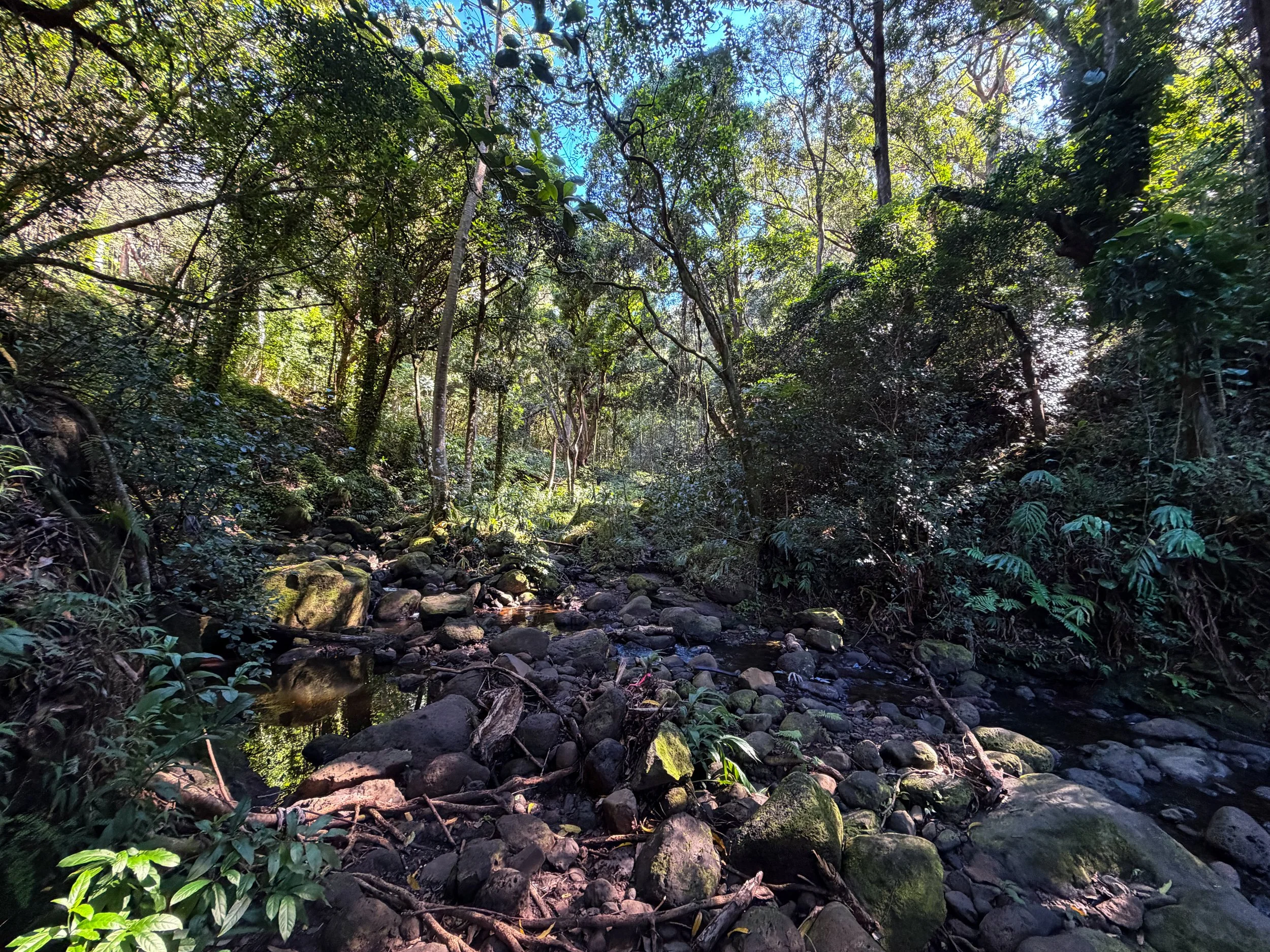 Kaau Crater Trail Oahu Hawaii
