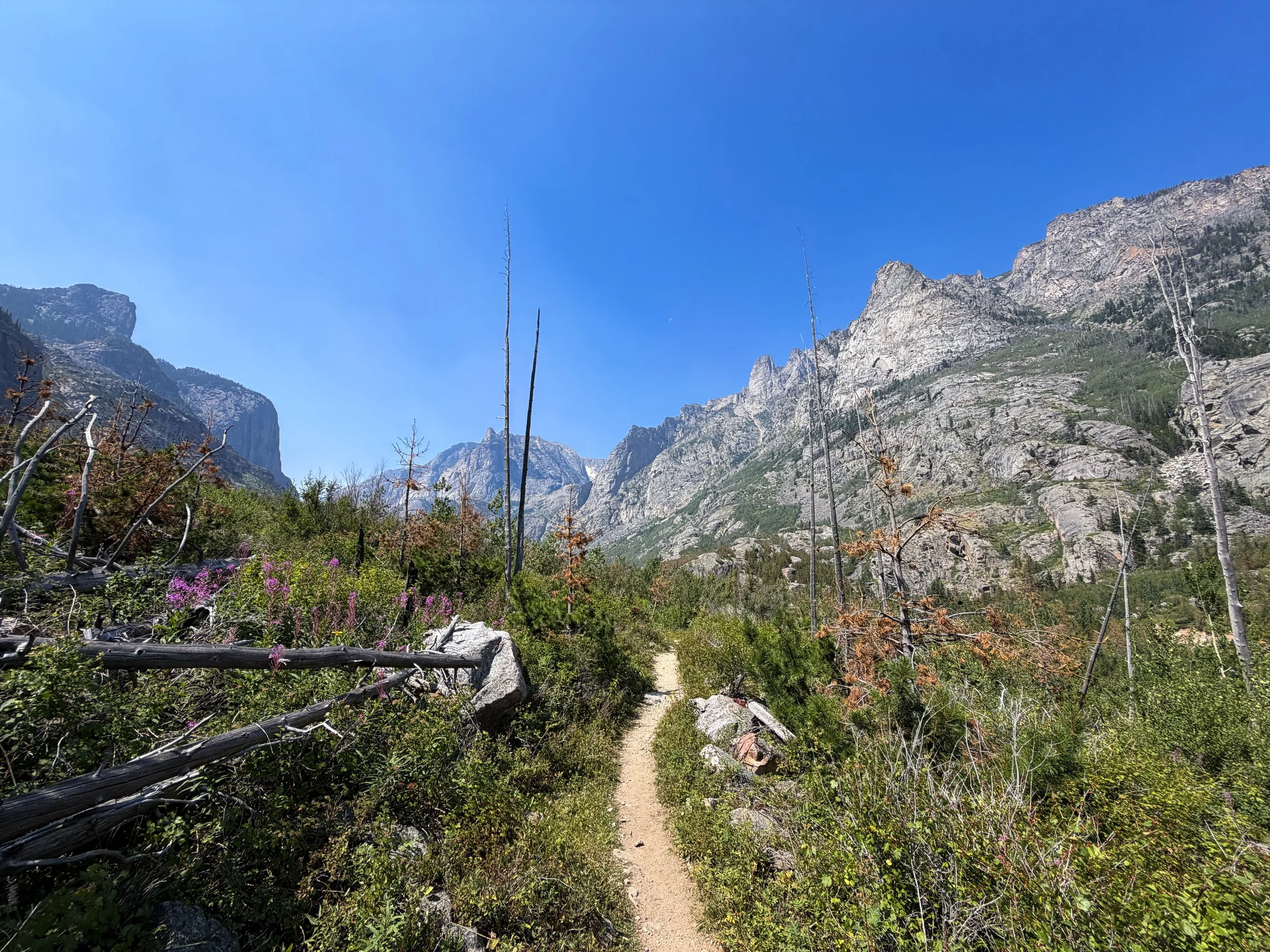 Beaten Path Hike Beartooth Mountains Montana