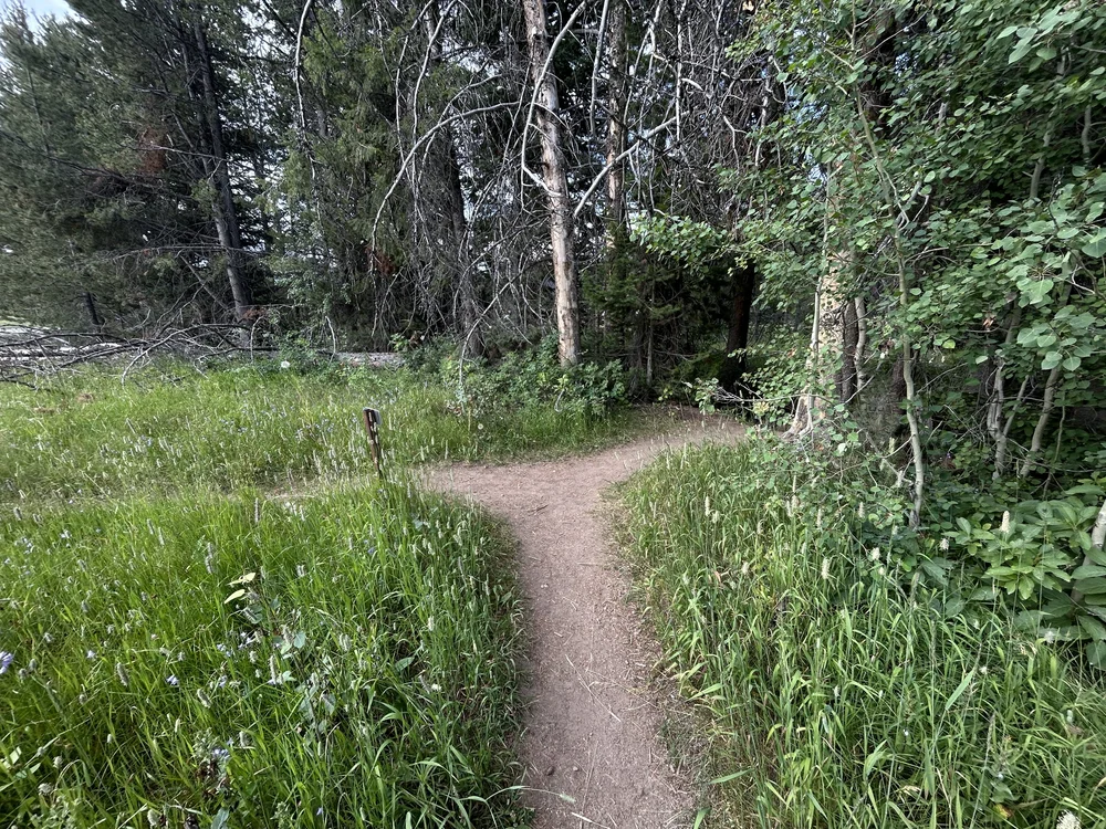 Hiking the Moose Ponds Loop Trail in Grand Teton National Park — noahawaii
