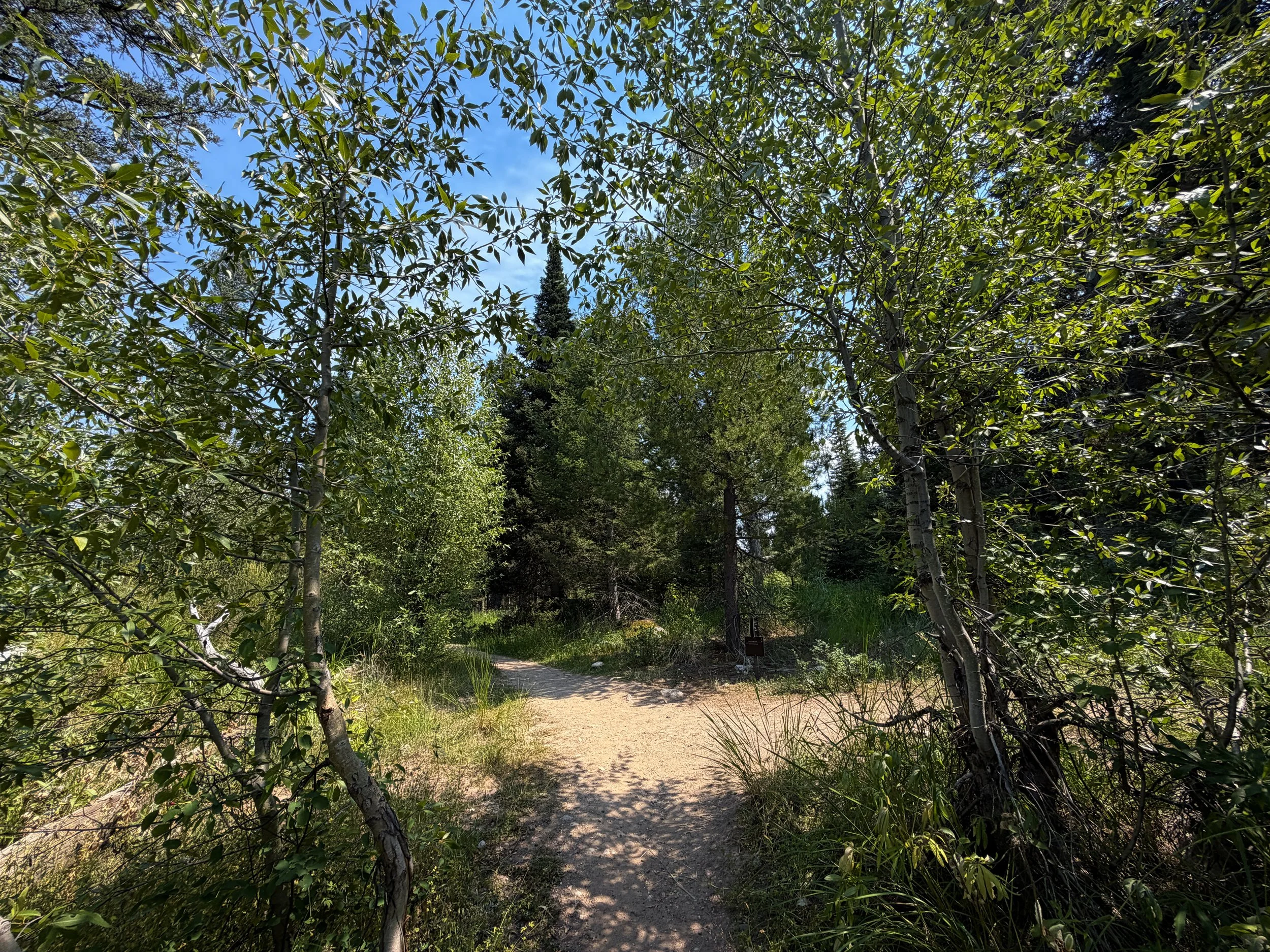 Phelps Lake Loop Trail Grand Teton National Park Wyoming
