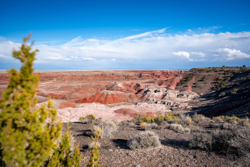 Painted Desert Rim