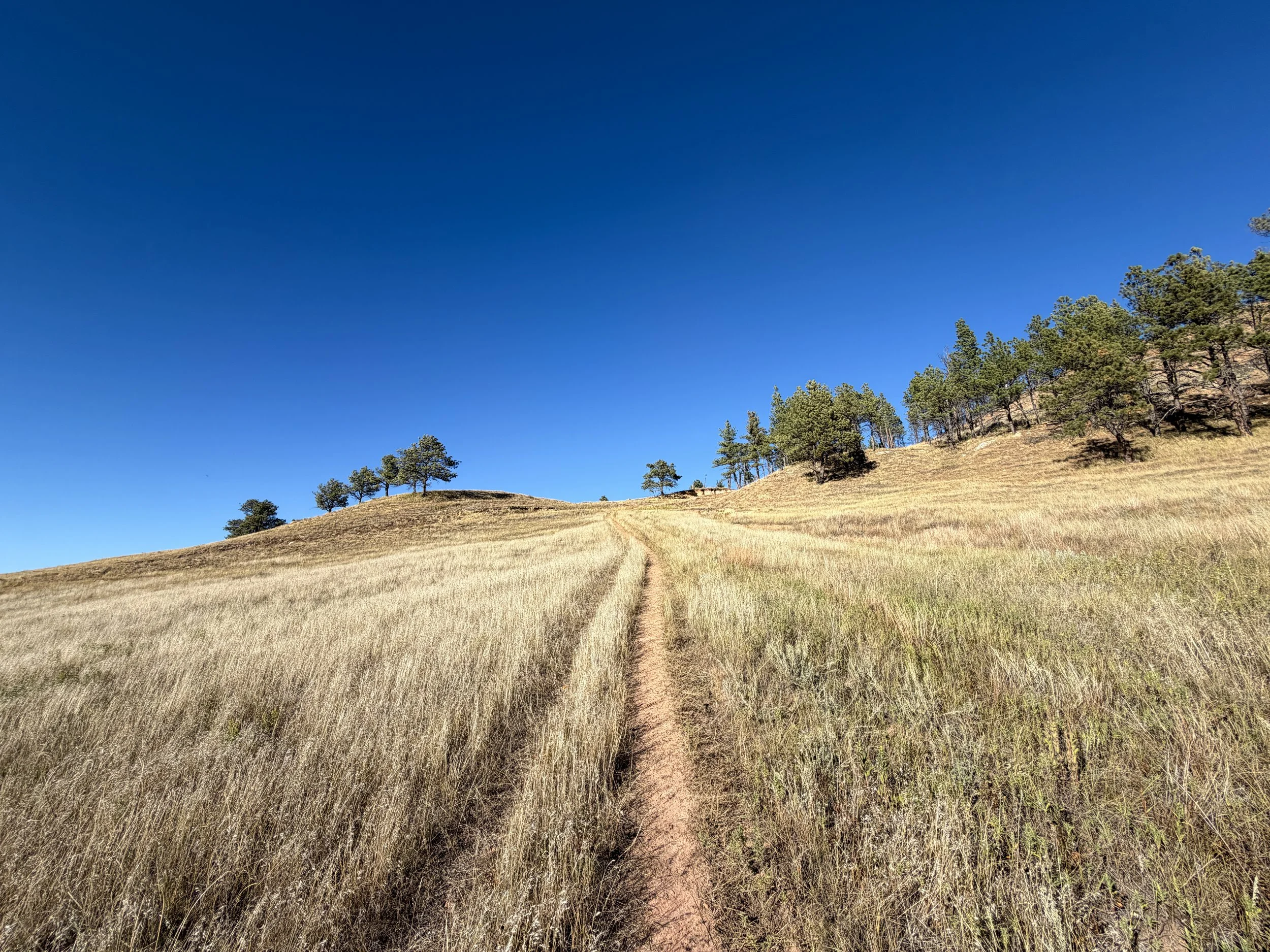 Boland Ridge Trail Wind Cave National Park South Dakota
