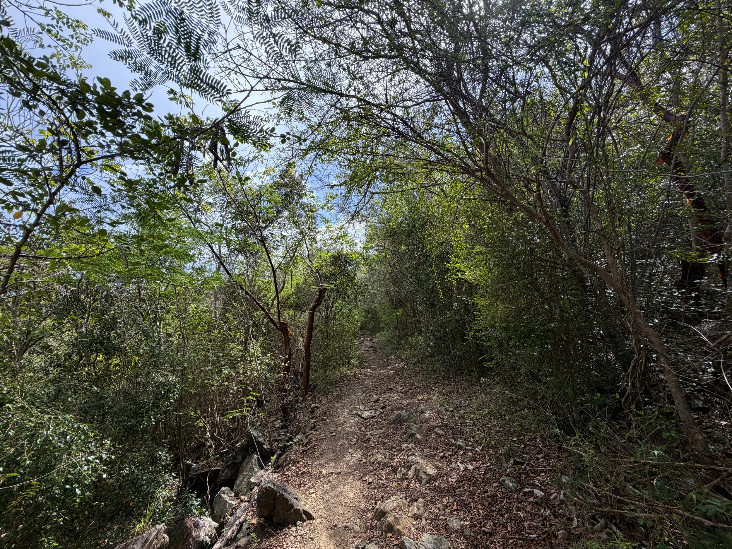 Lower Lind Point Trail Virgin Islands National Park