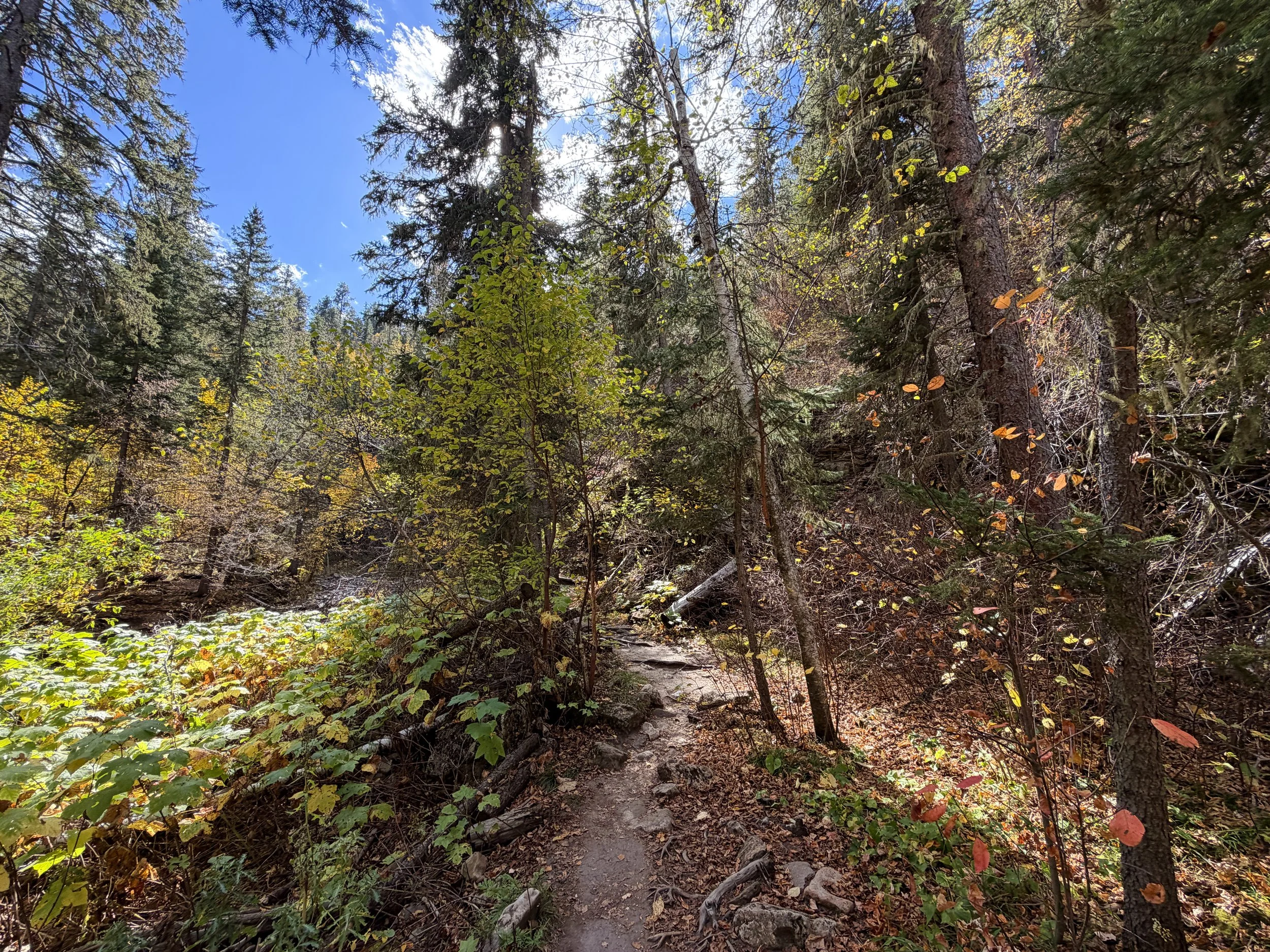 Devils Bathtub Hike Spearfish Canyon Black Hills South Dakota