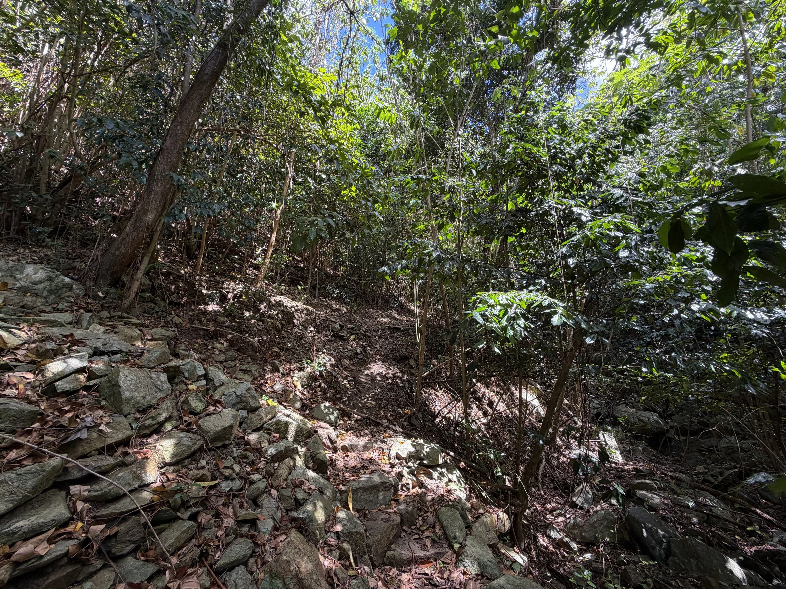 Cinnamon Bay Hike Virgin Islands National Park