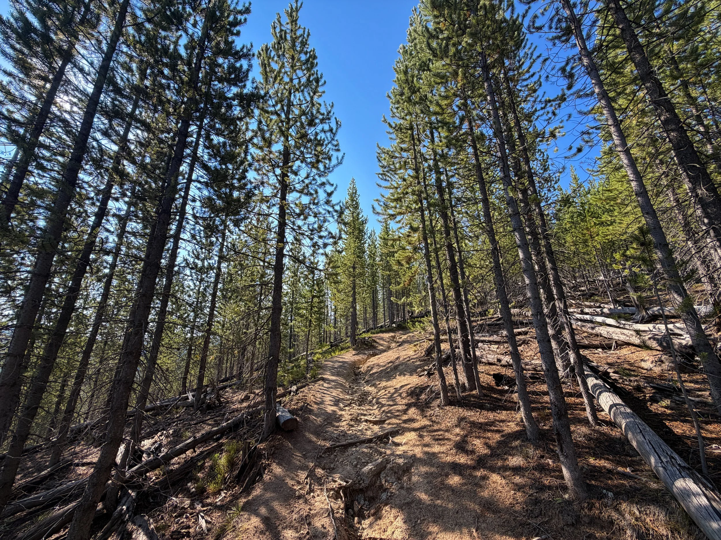 Monument Geyser Basin Trail Yellowstone National Park Wyoming