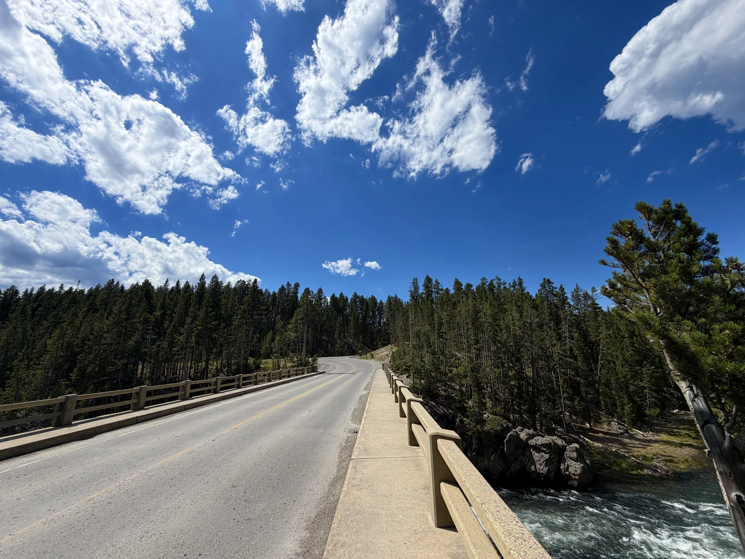 North Rim Trail Yellowstone National Park Wyoming