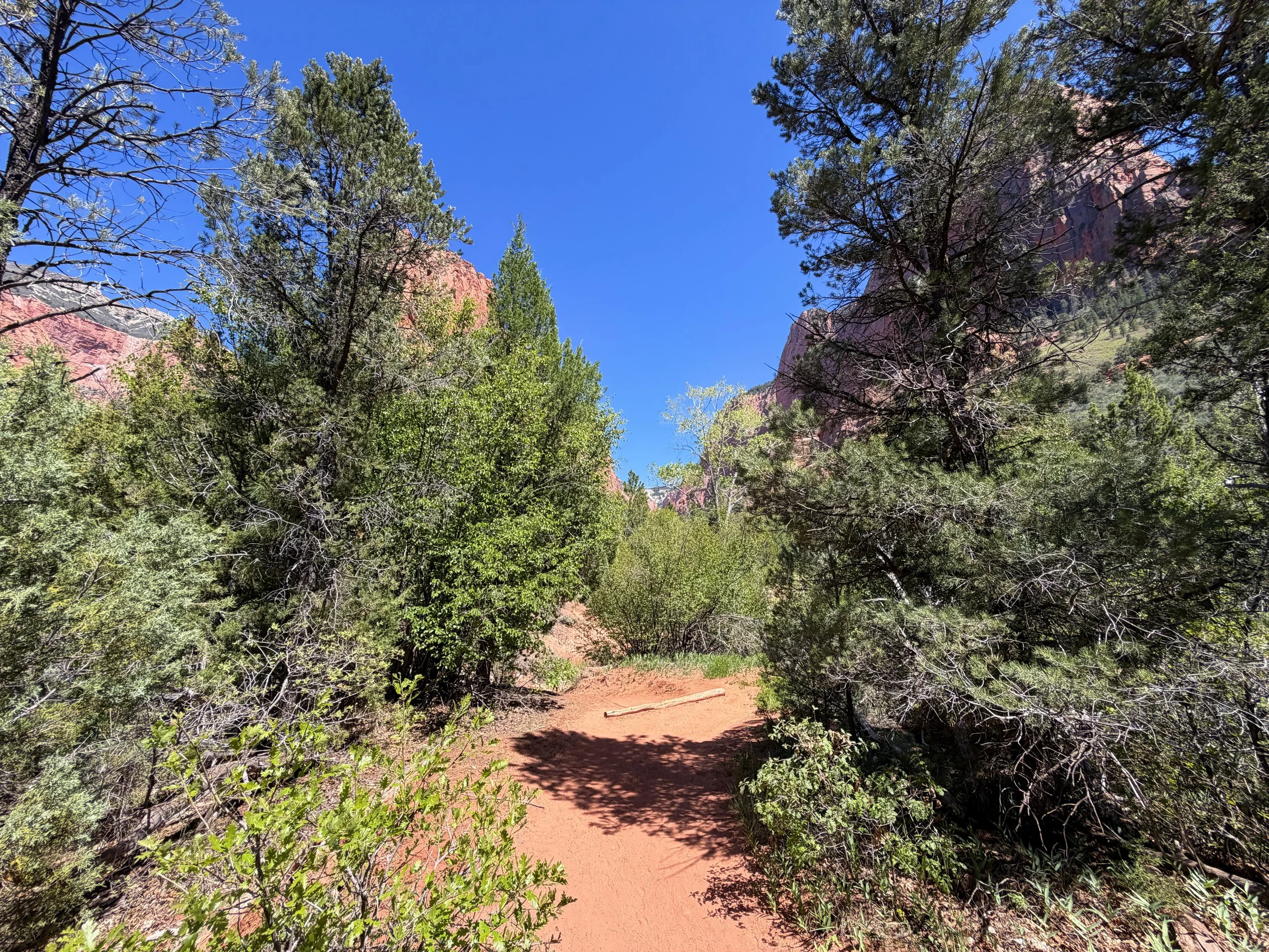 Taylor Creek Trail Zion National Park Utah