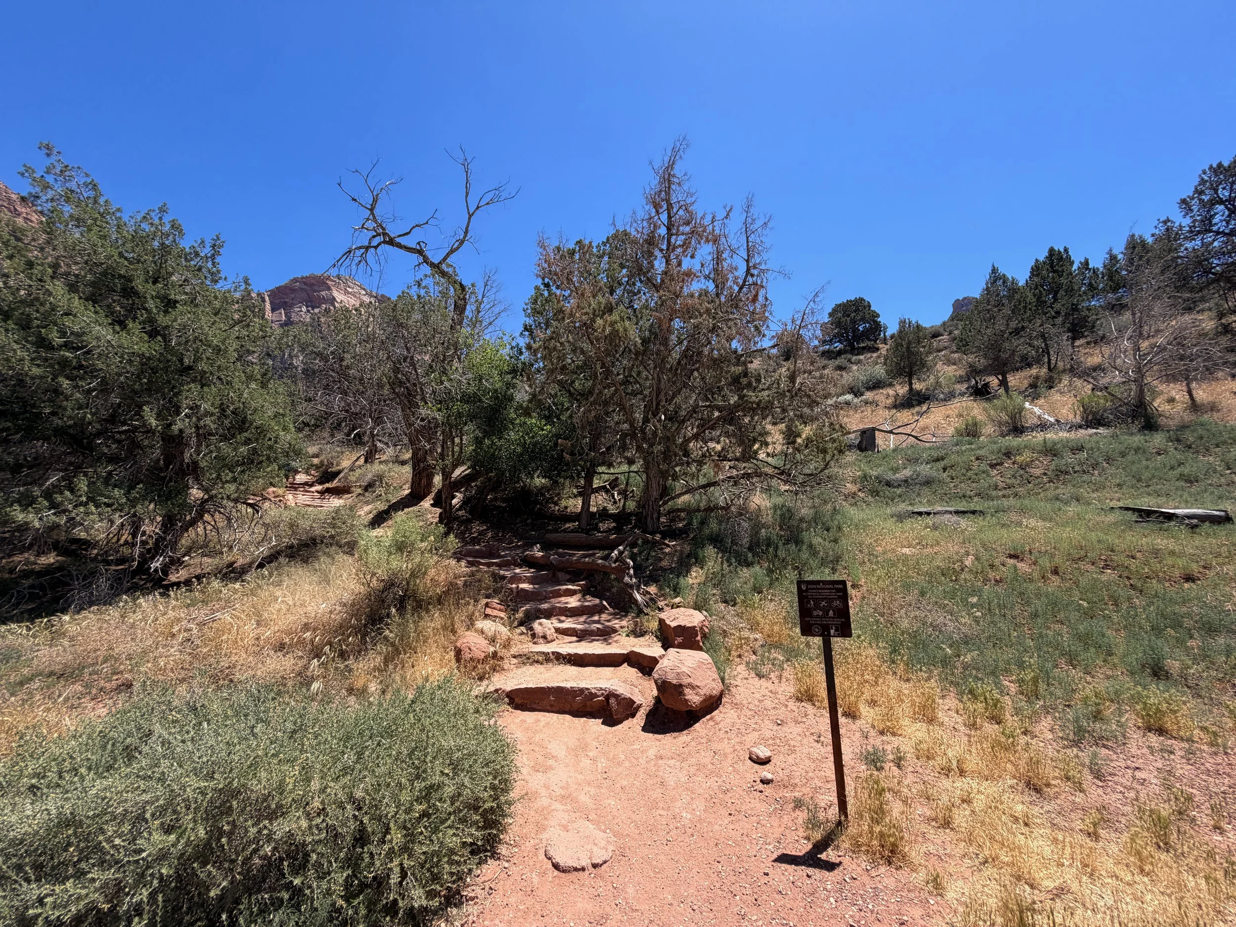 Watchman Trail Zion National Park Utah