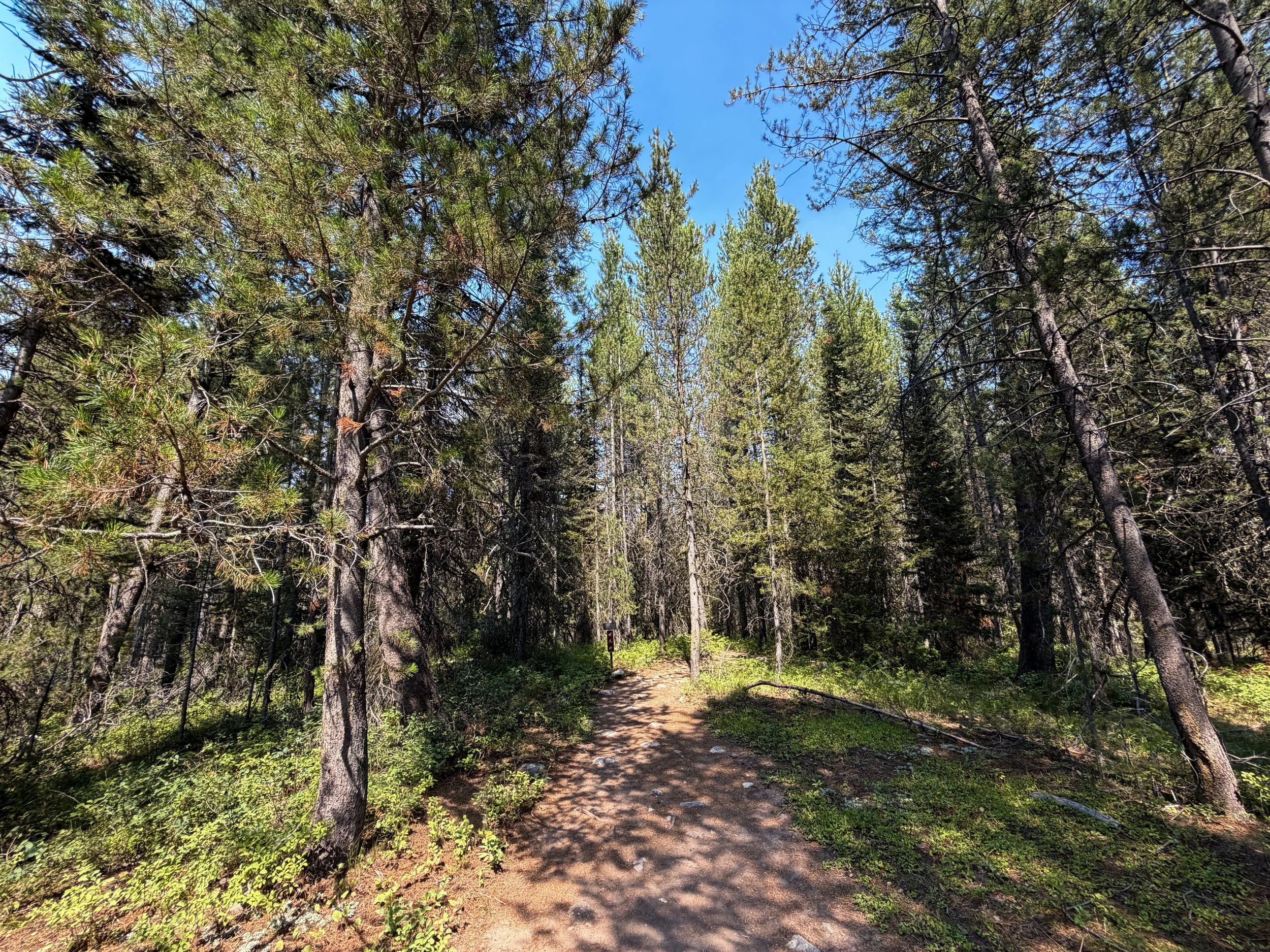 Phelps Lake Loop Trail Grand Teton National Park Wyoming