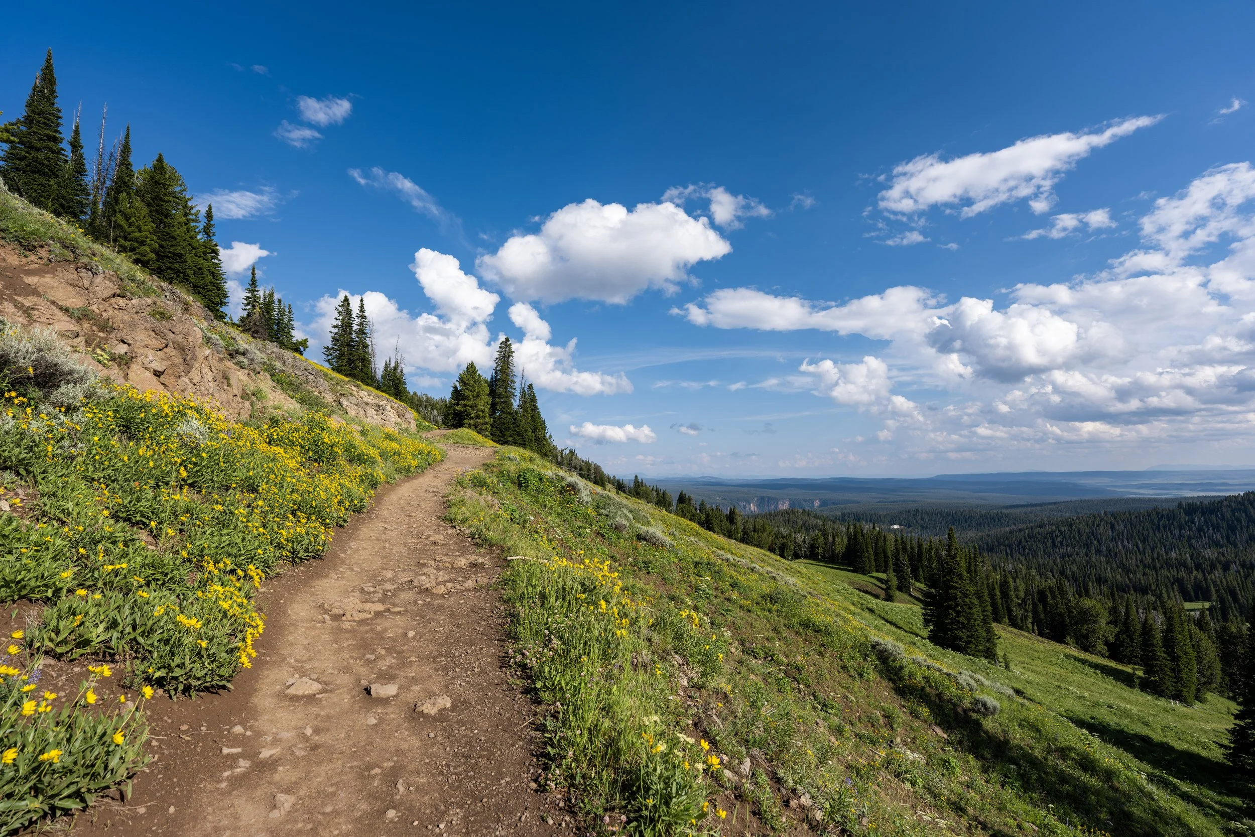 South Mt. Washburn Trail Yellowstone National Park Wyoming