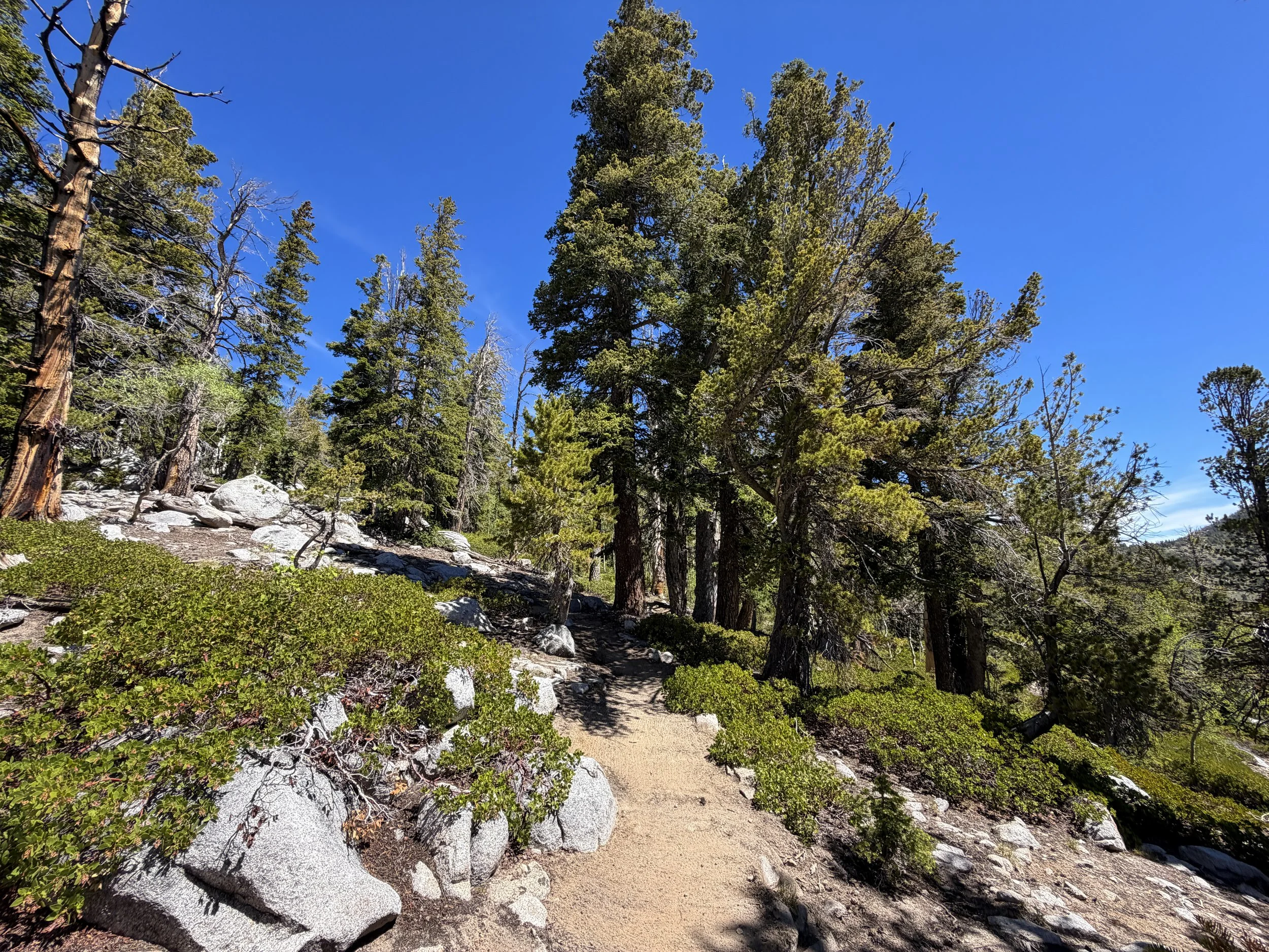 Dead Lake Trail Great Basin National Park Nevada