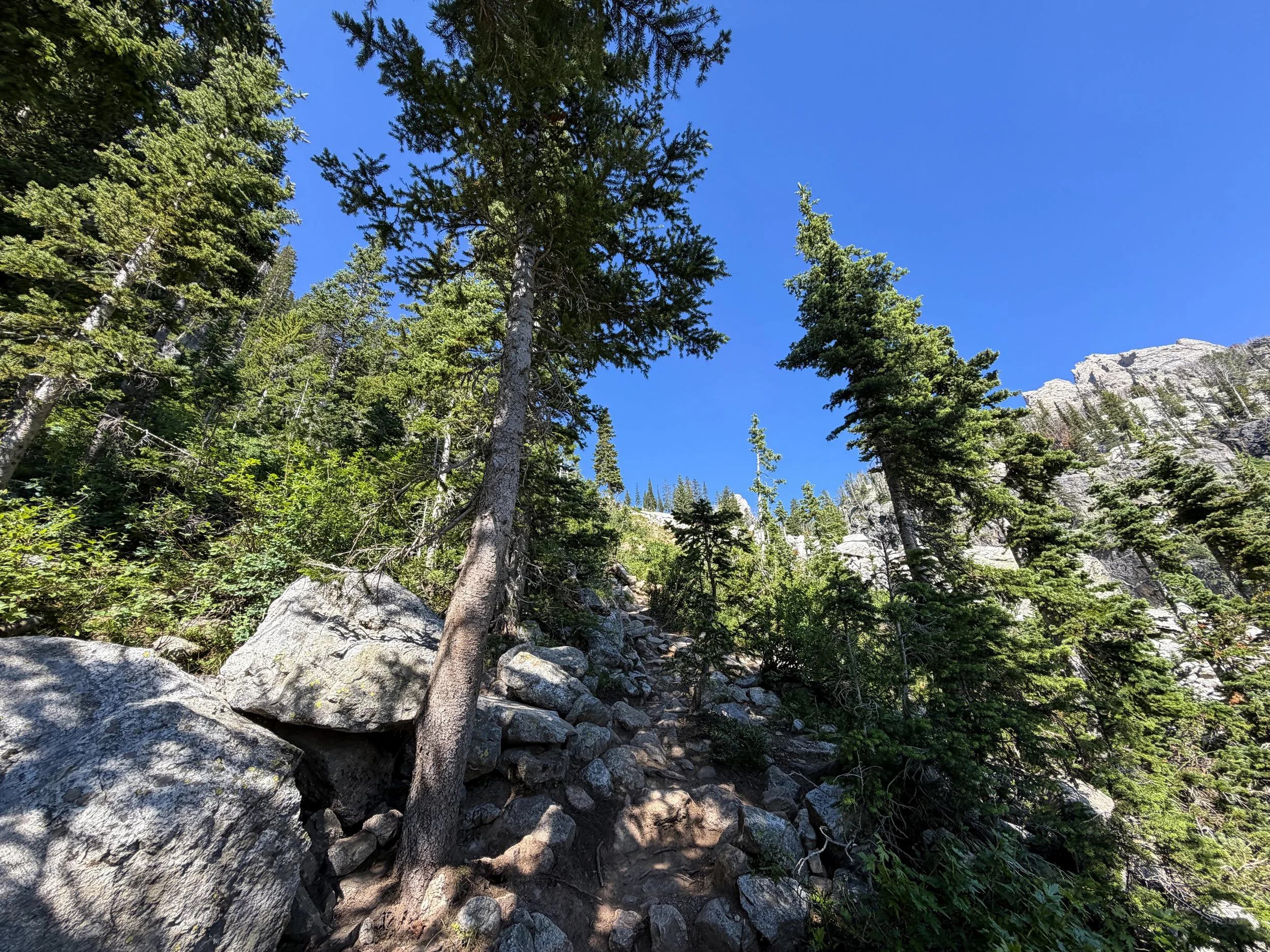 Delta Lake Trail Grand Teton National Park Wyoming
