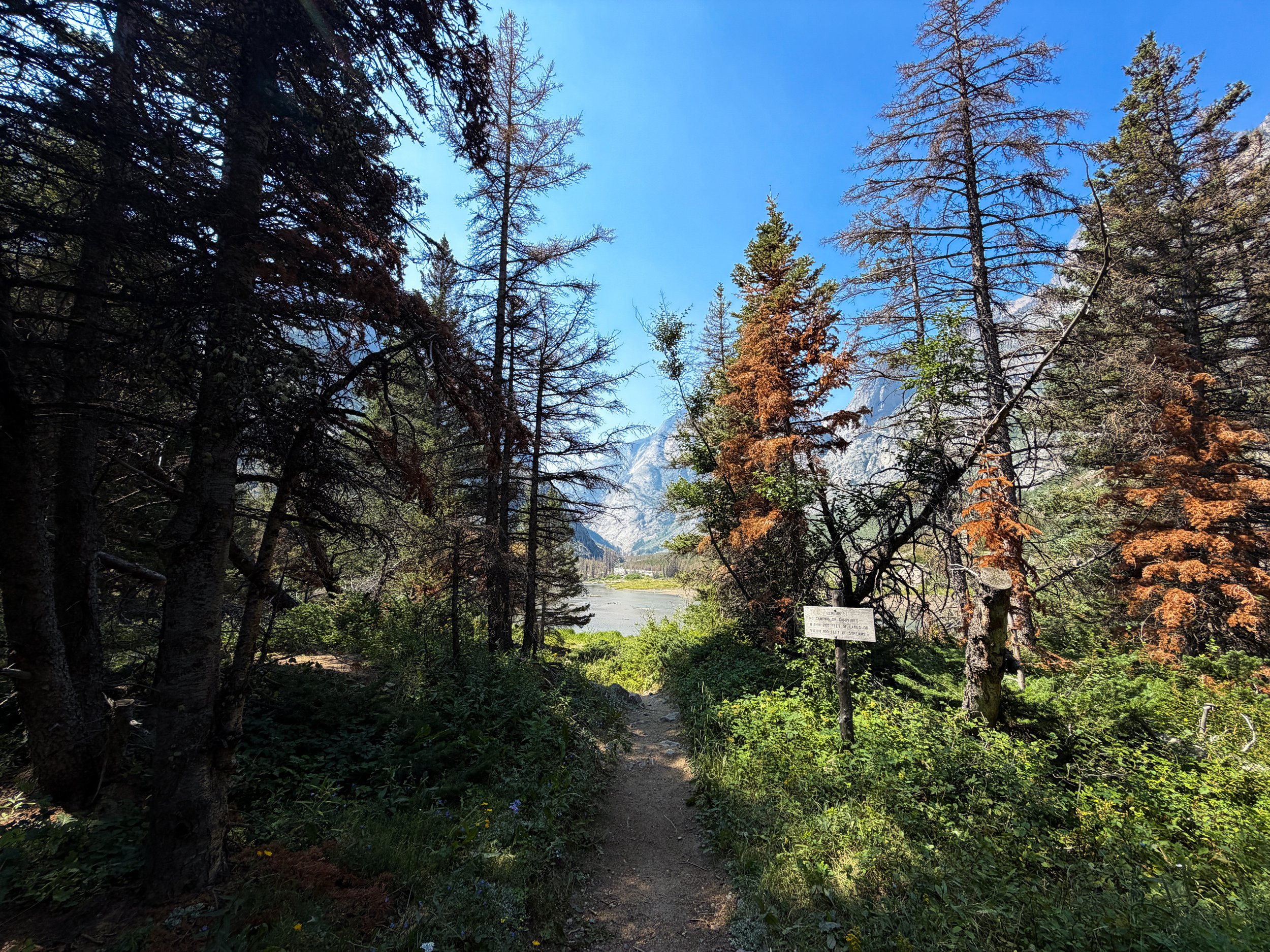 Elk Lake Beaten Path Trail Beartooth Mountains Montana