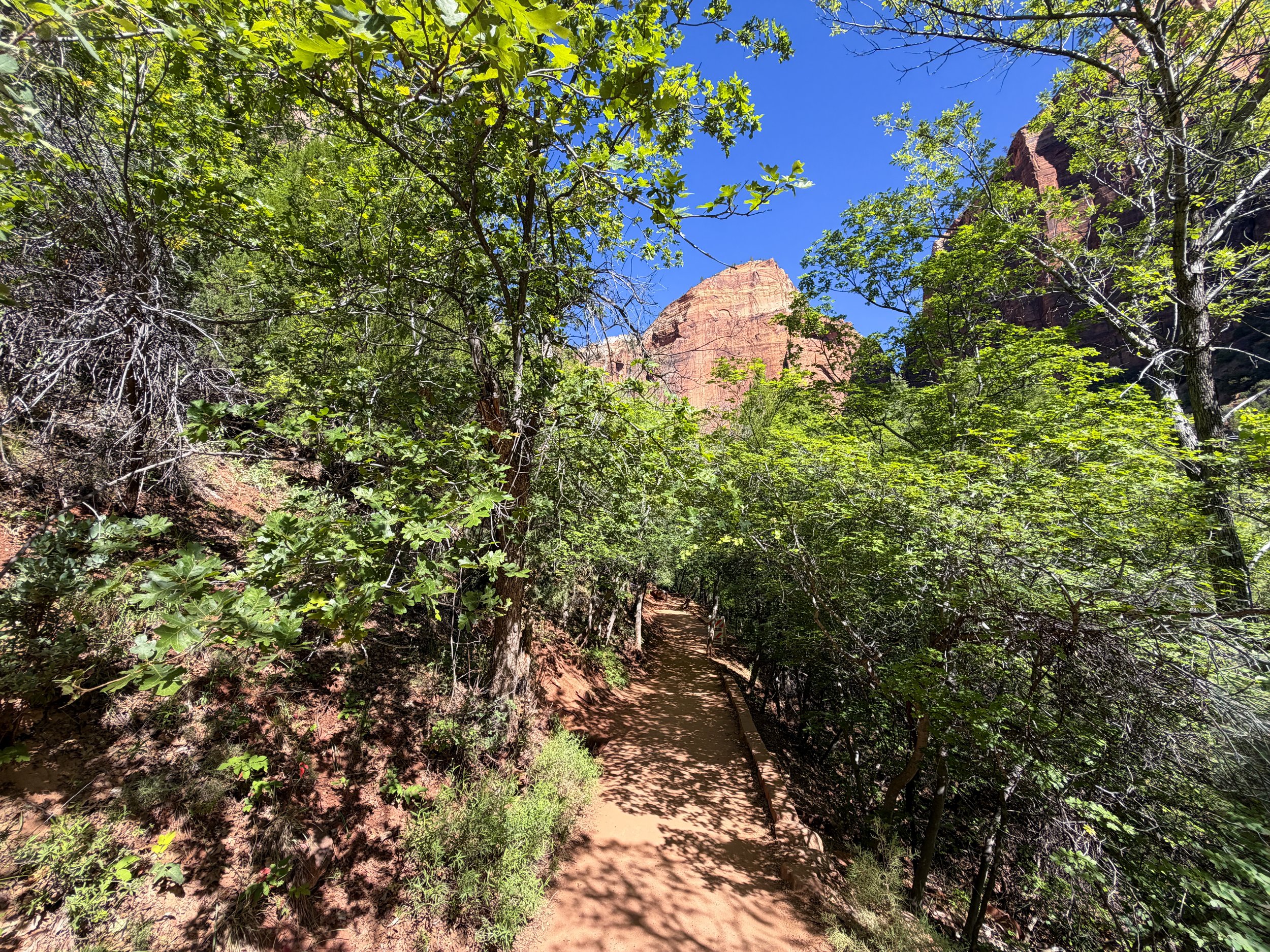 Lower Emerald Pool Trail Zion National Park Utah