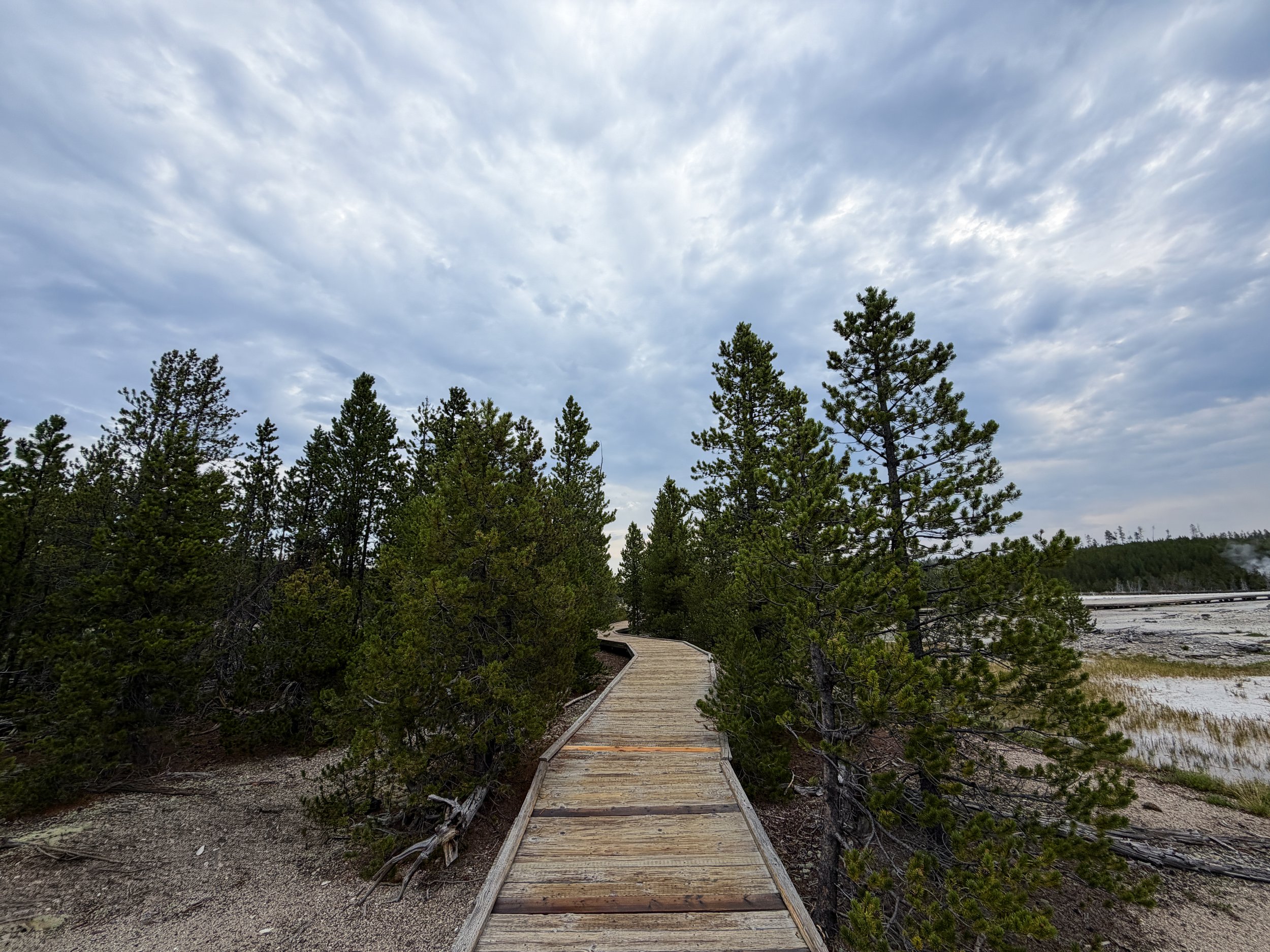 Back Basin Norris Geyser Basin Trail Yellowstone National Park Wyoming