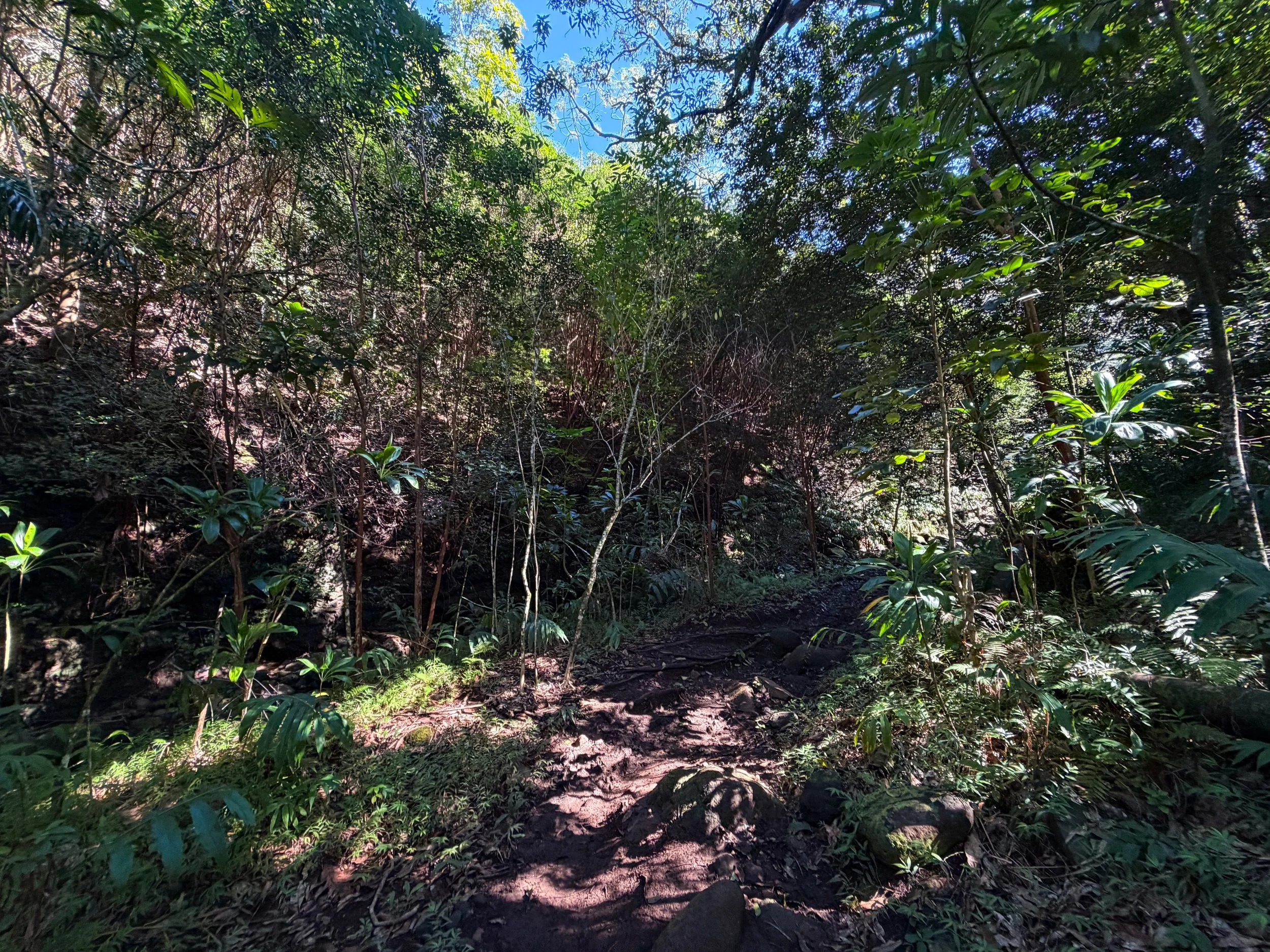 Kaau Crater Hike Oahu Hawaii