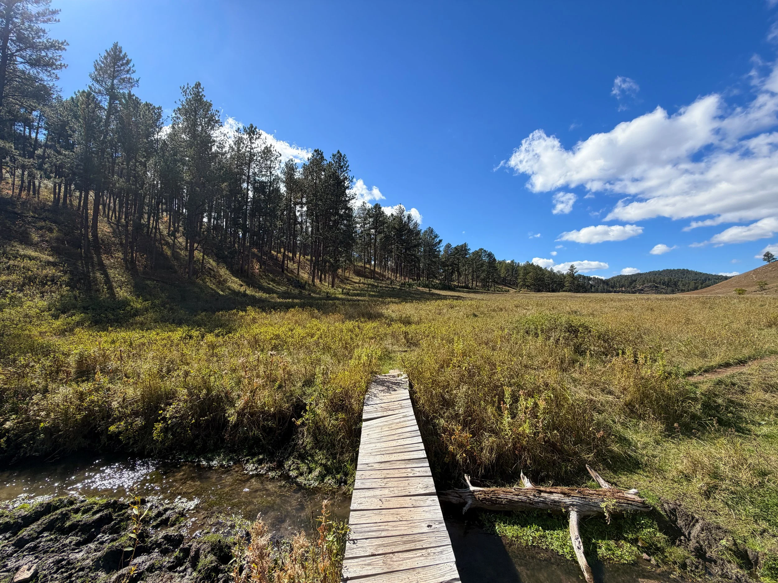Lookout Point Loop Trail Wind Cave National Park South Dakota