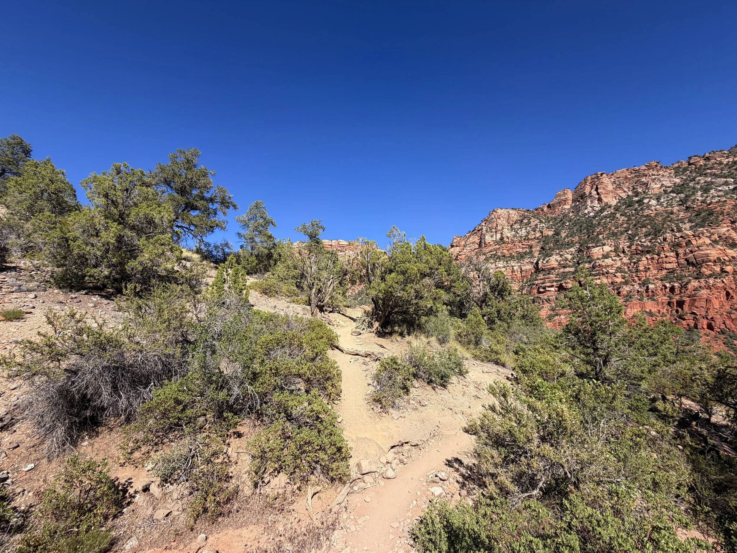 Left Fork Trail to the Subway Zion National Park Utah