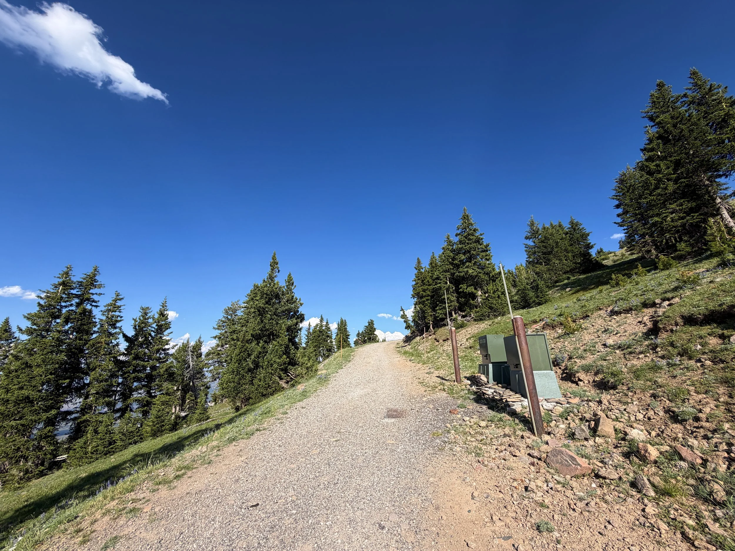 Mount Washburn Hike via Chittenden Road Yellowstone National Park Wyoming