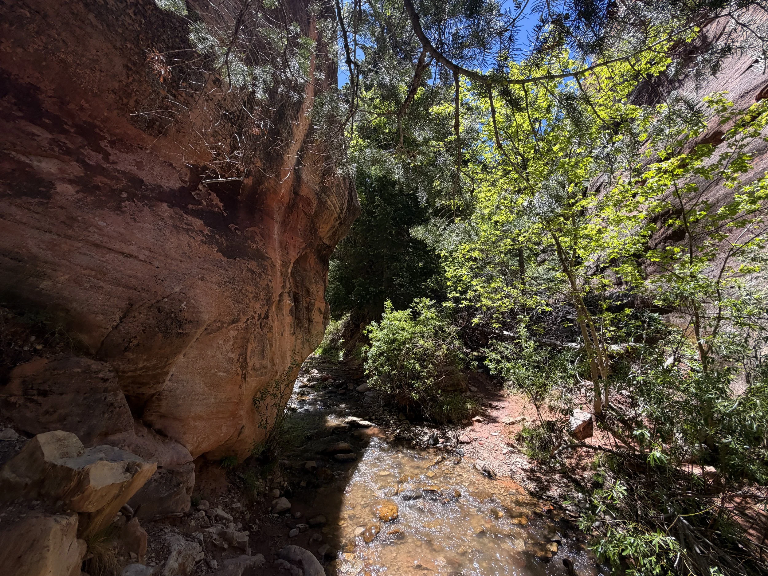 Kanarra Falls Trail Kanarraville Utah