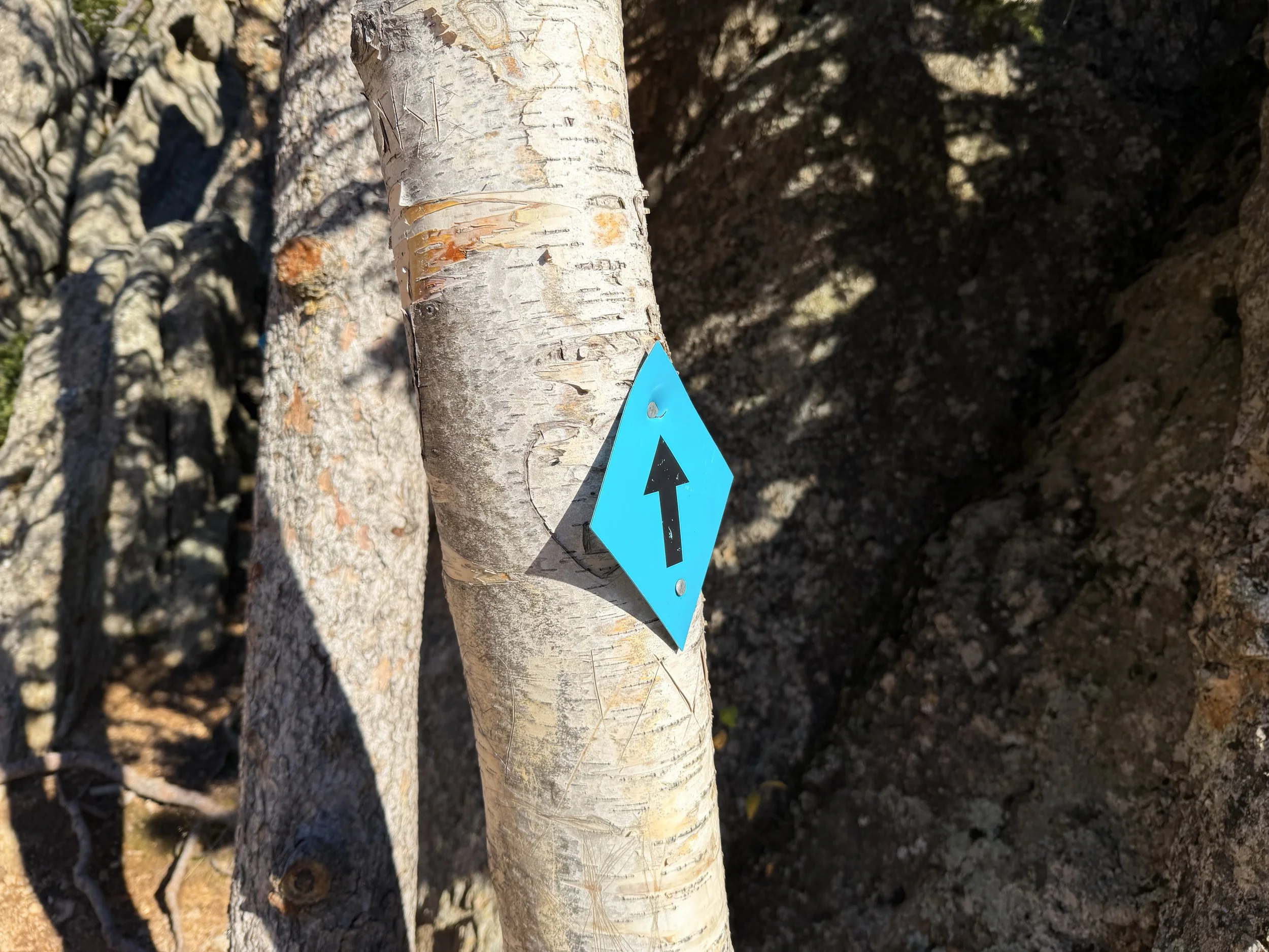 Little Devils Tower Trail Custer State Park Black Hills South Dakota
