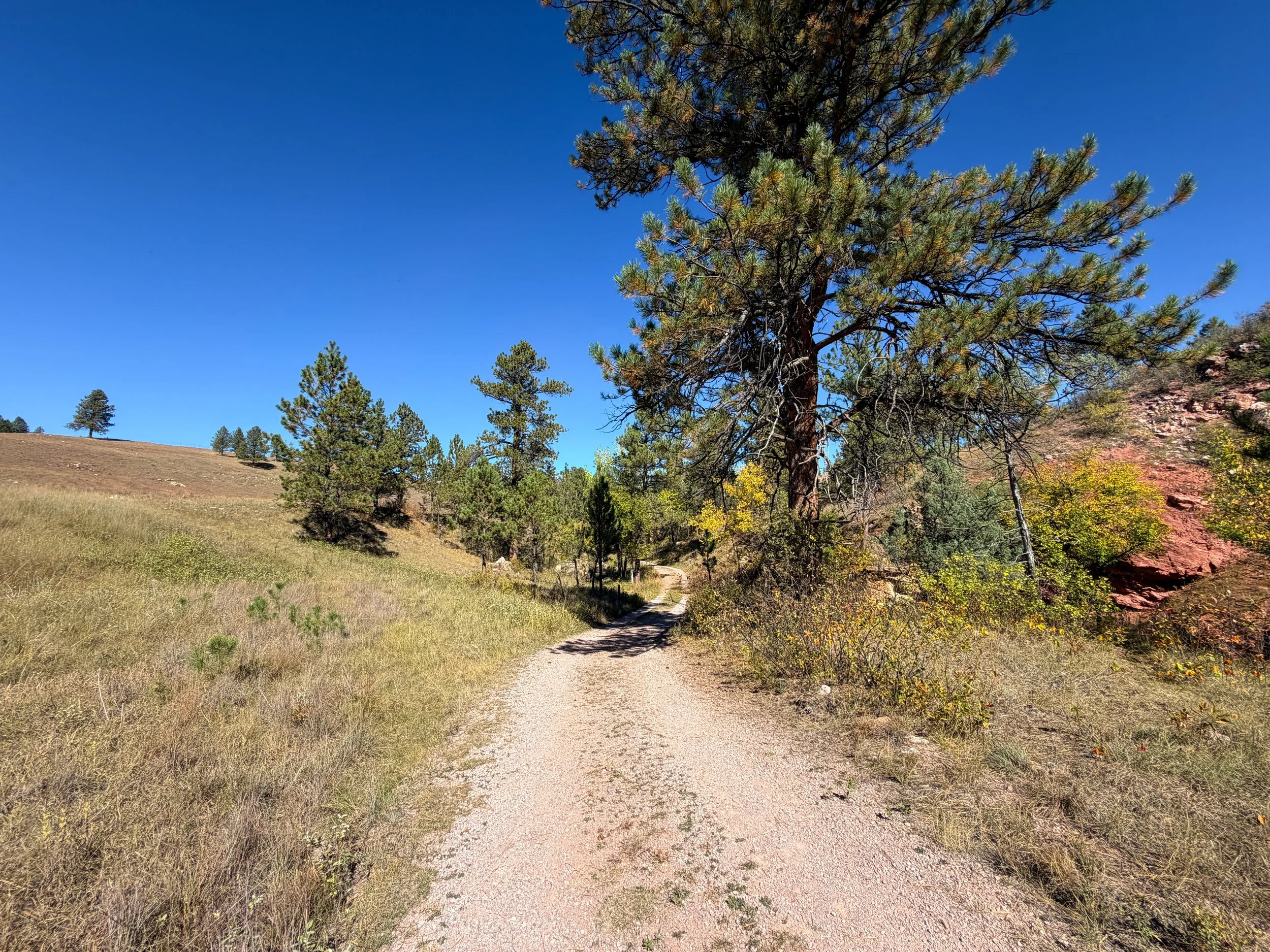 Wind Cave Canyon Hike Wind Cave National Park South Dakota