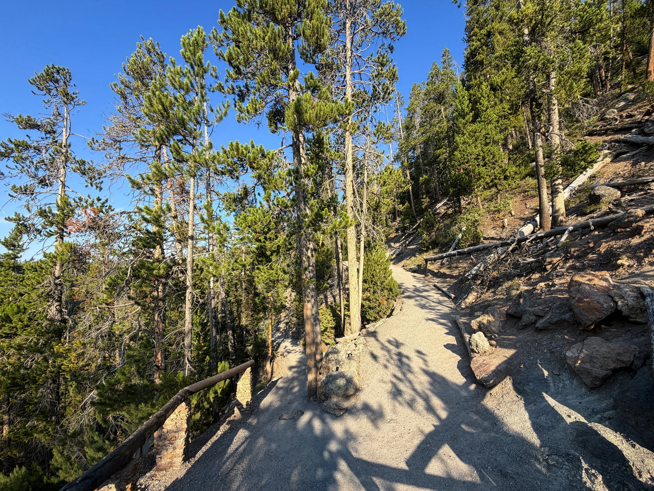 Brink of the Lower Falls Trail Yellowstone National Park Wyoming