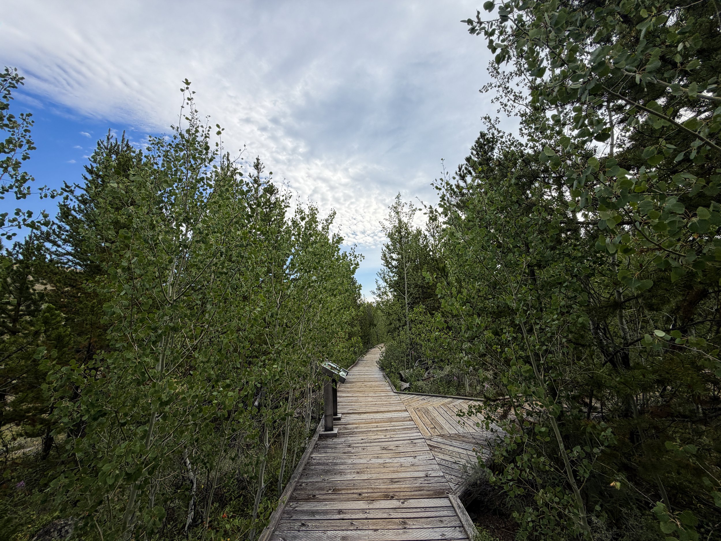Forces of the Northern Range Loop Trail Yellowstone National Park Wyoming