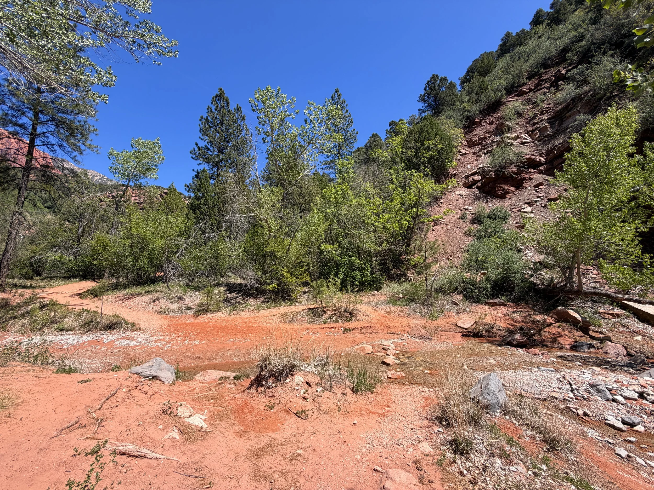 Middle Taylor Creek Trail Zion National Park Utah