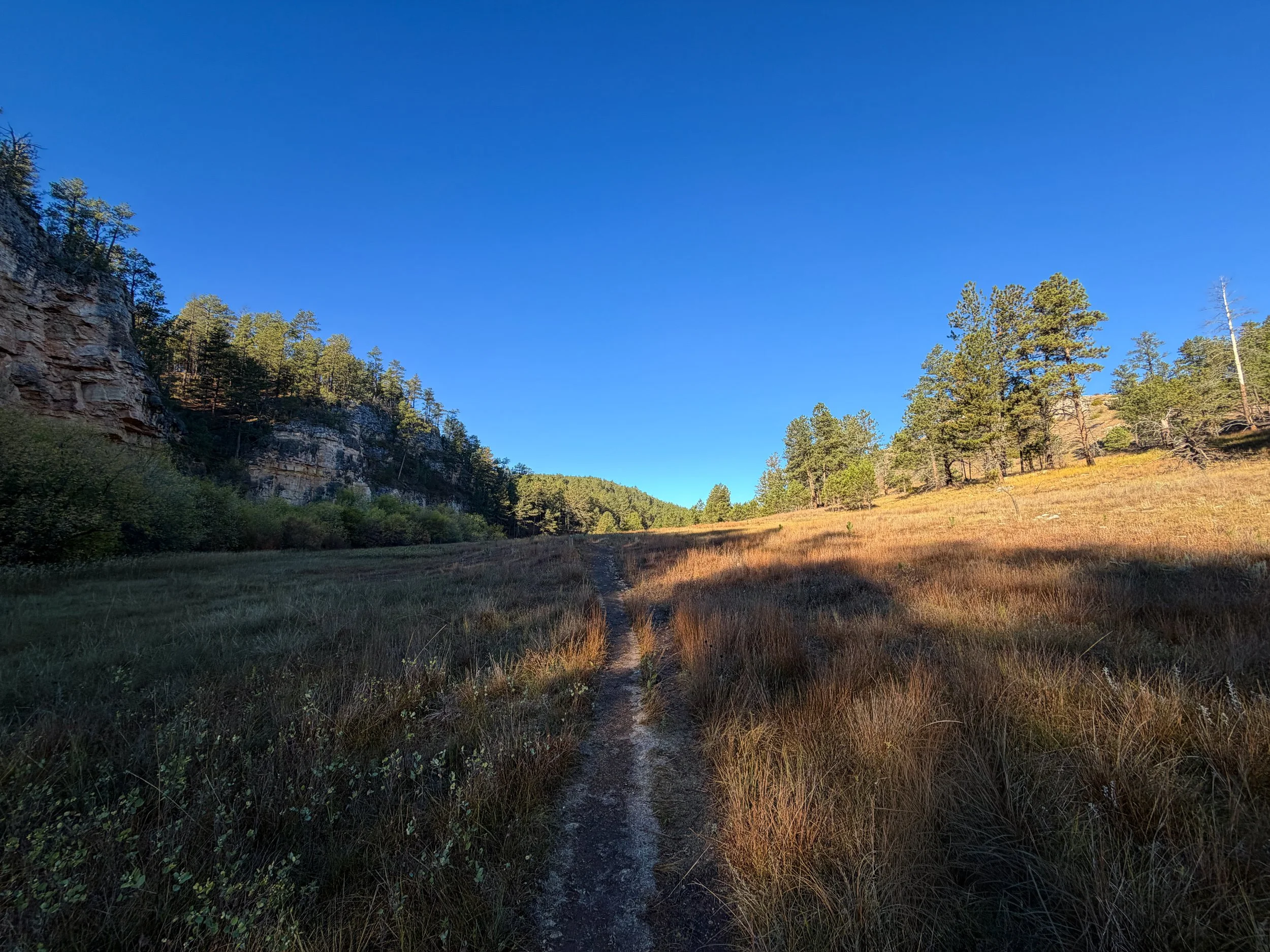 Cold Brook Canyon Trail Wind Cave National Park South Dakota