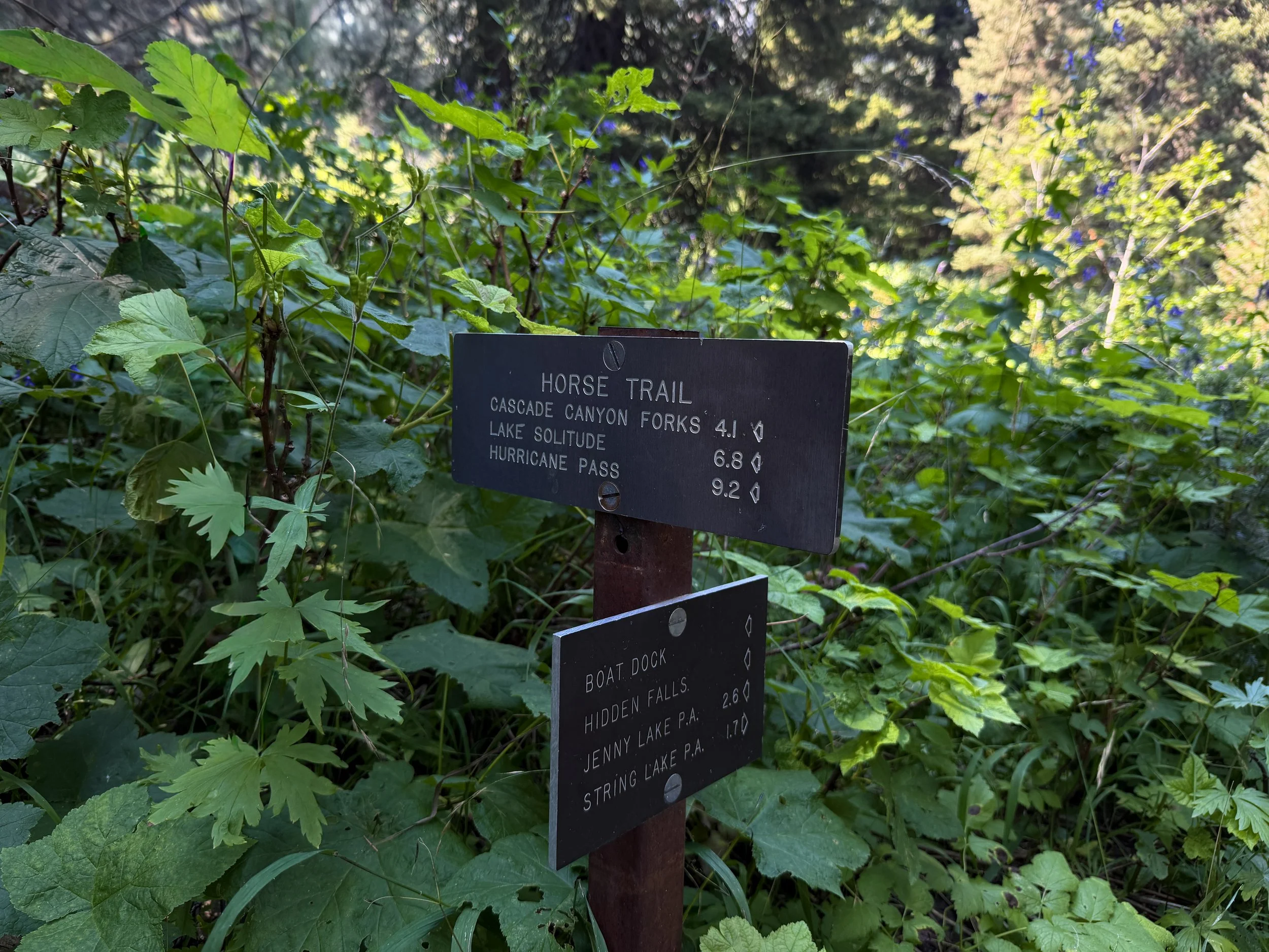 Jenny Lake Loop Trail Grand Teton National Park Wyoming