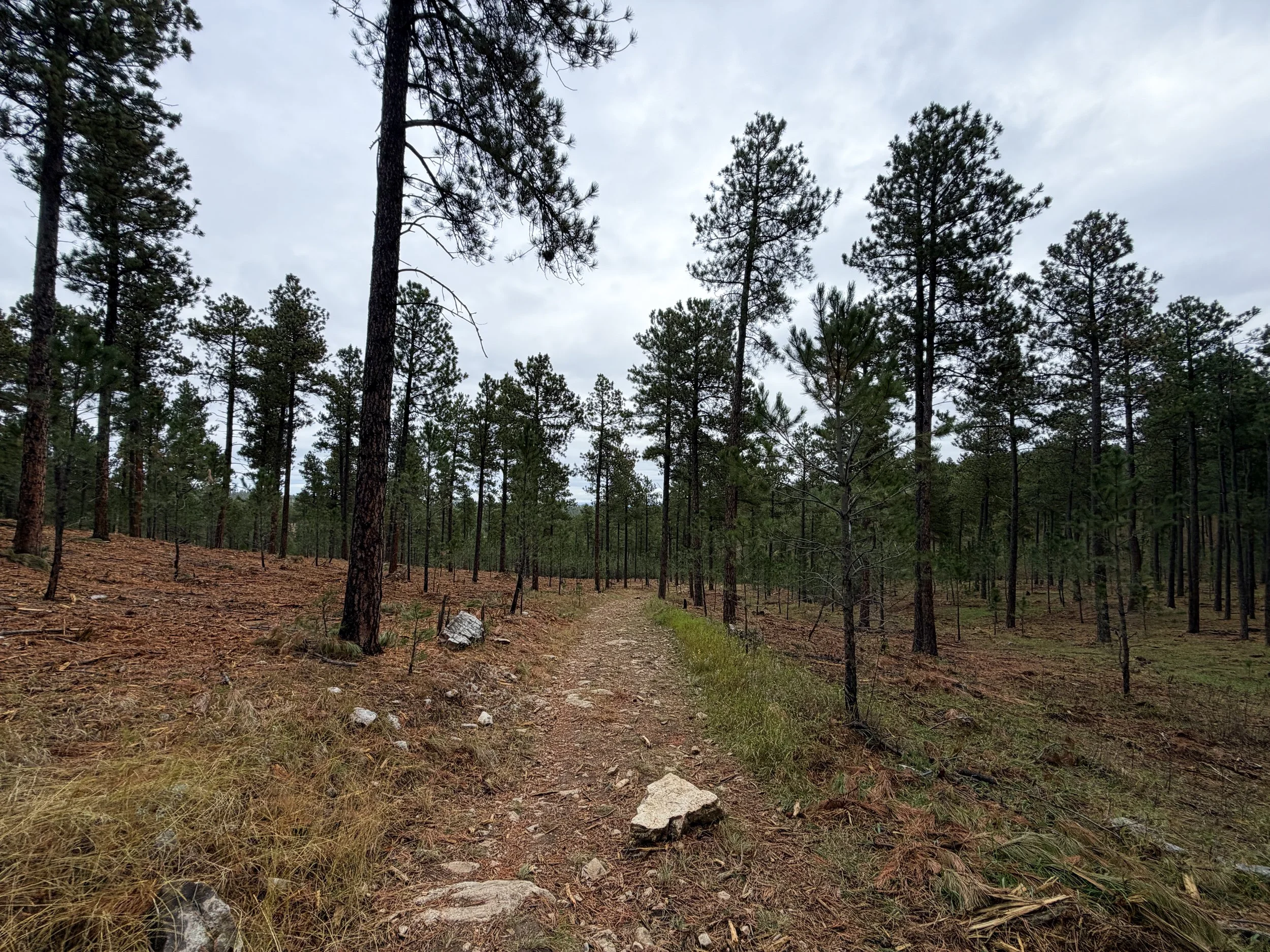 Buzzards Roost Loop Hike Black Hills Rapid City South Dakota