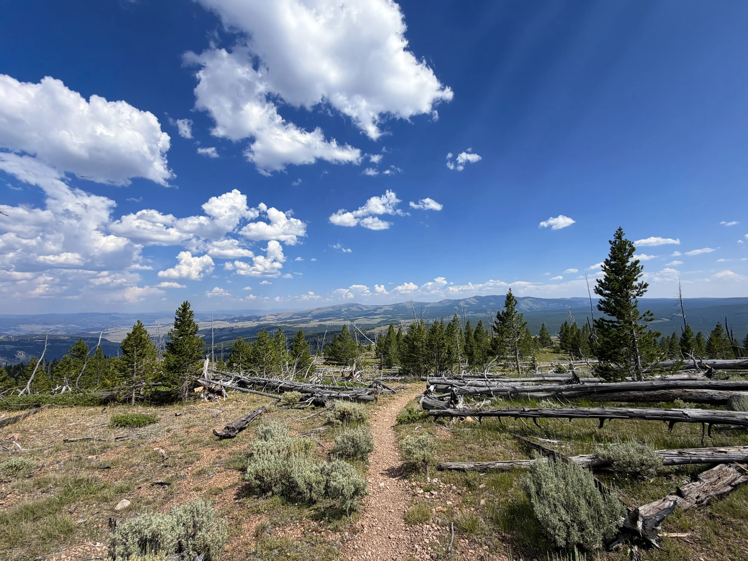 Bunsen Peak Trail to Osprey Falls Yellowstone National Park Wyoming