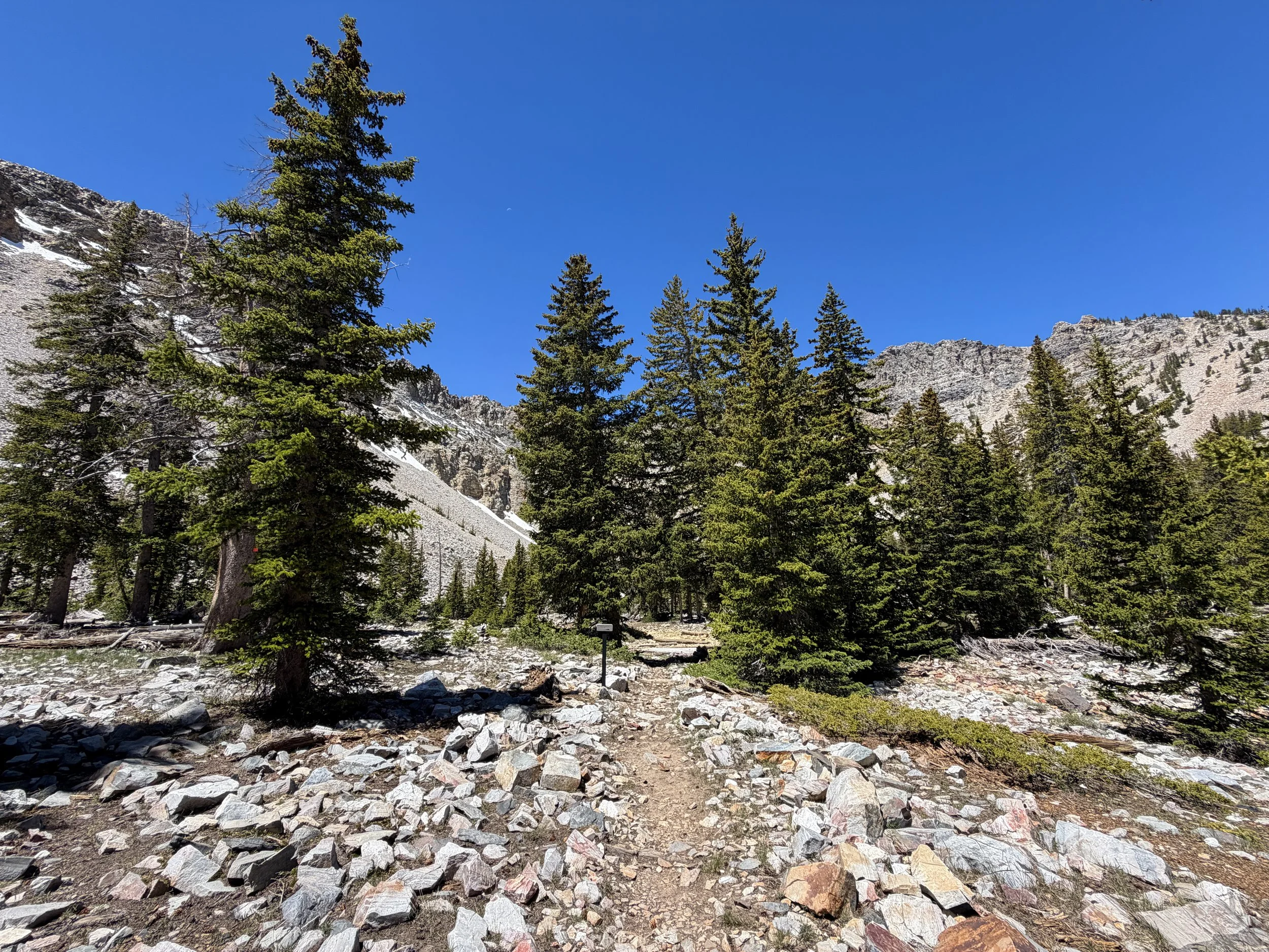 Baker Lake Trail Great Basin National Park Nevada
