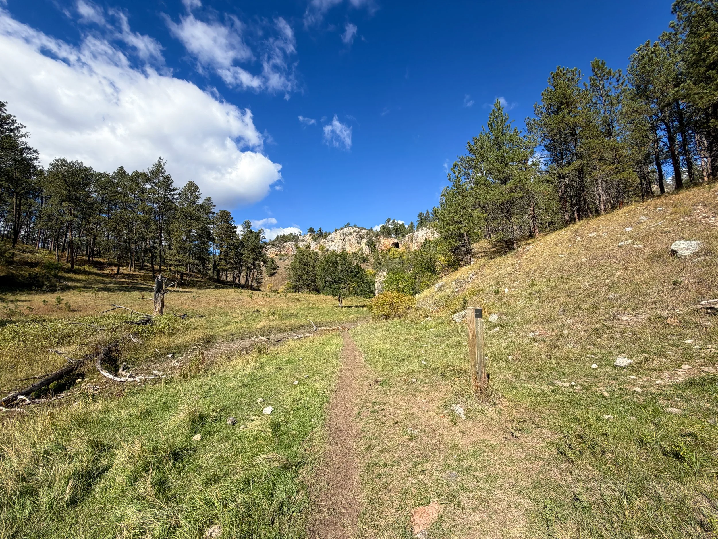 Lookout Point Loop Trail Wind Cave National Park South Dakota