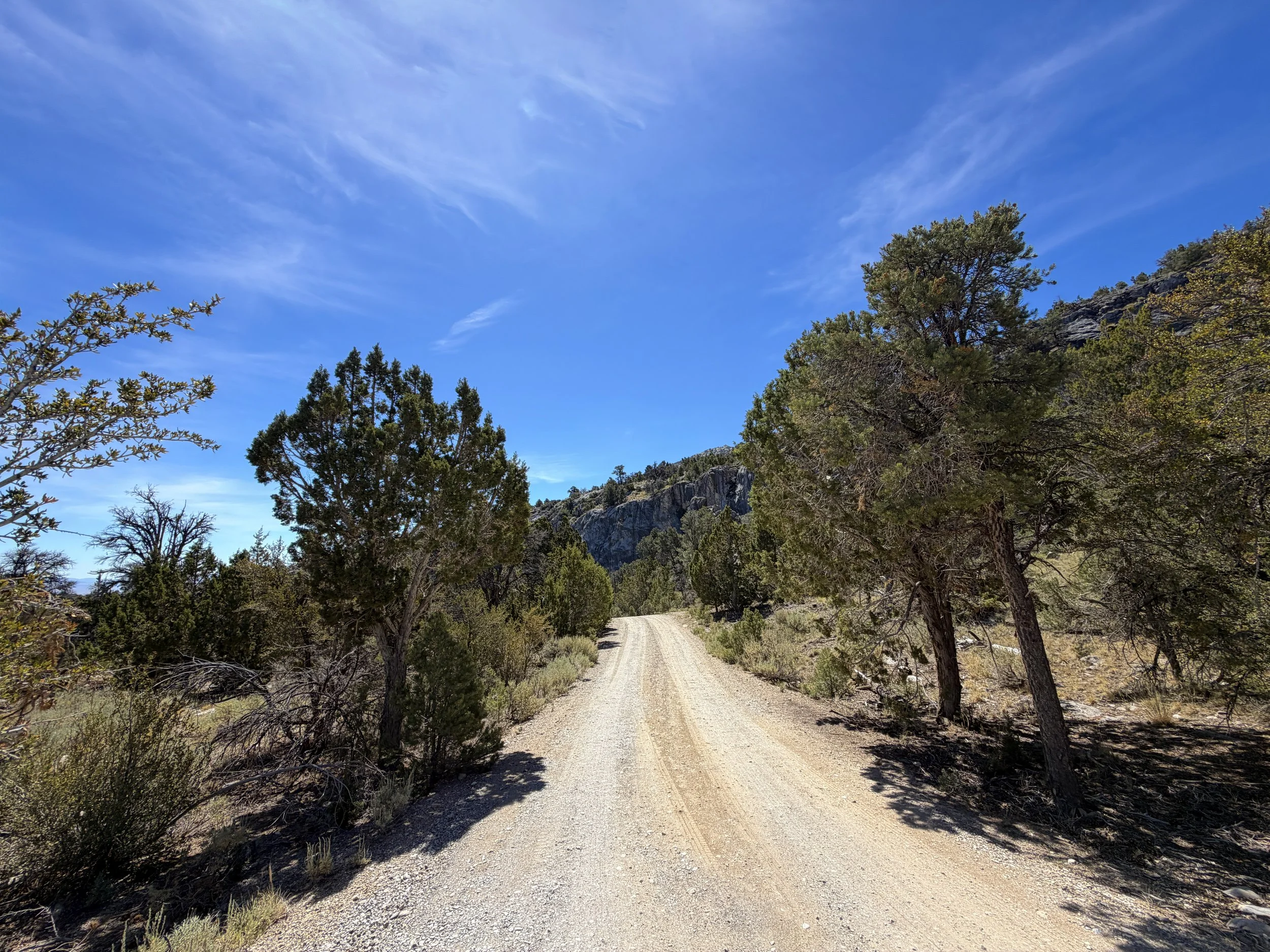 Grey Cliffs Campground Pole Canyon Trail Great Basin National Park Nevada