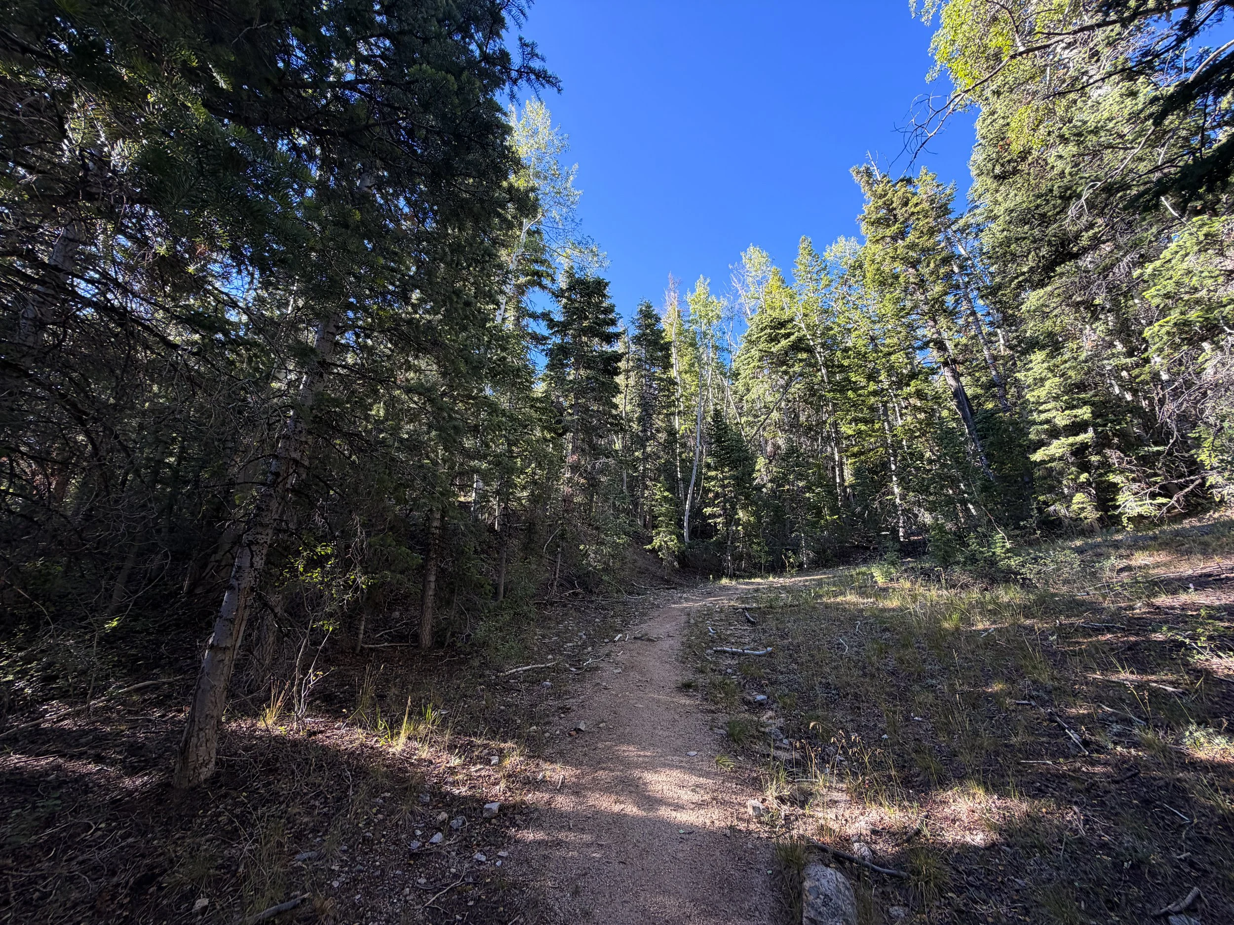 Snake Creek Overlook Trail Great Basin National Park Nevada