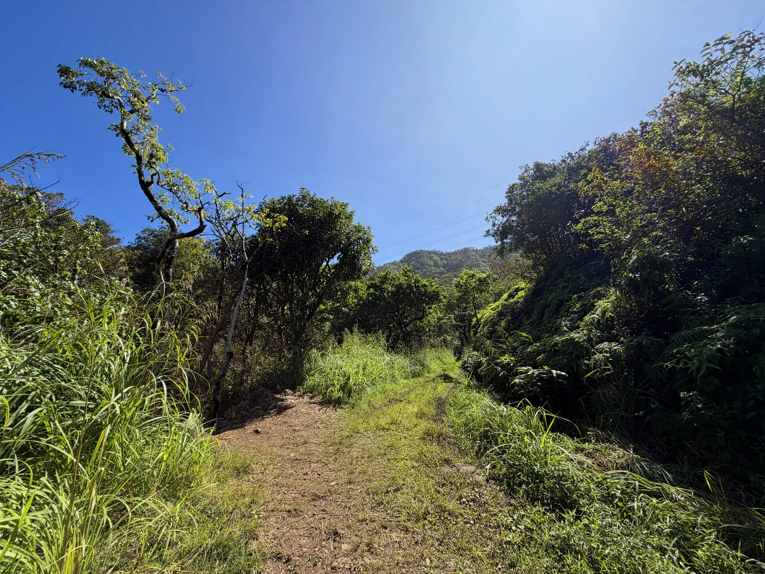 Kulanaahane Trail Moanalua Valley Road Split Oahu Hawaii