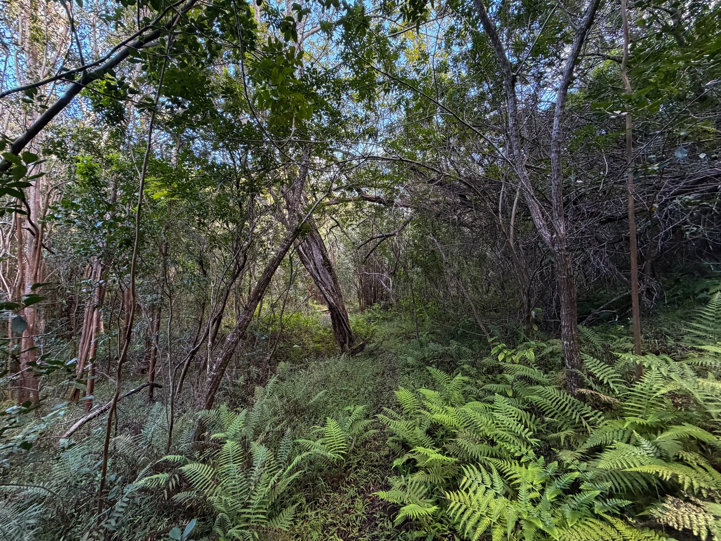Mokuleia Hike Oahu Hawaii