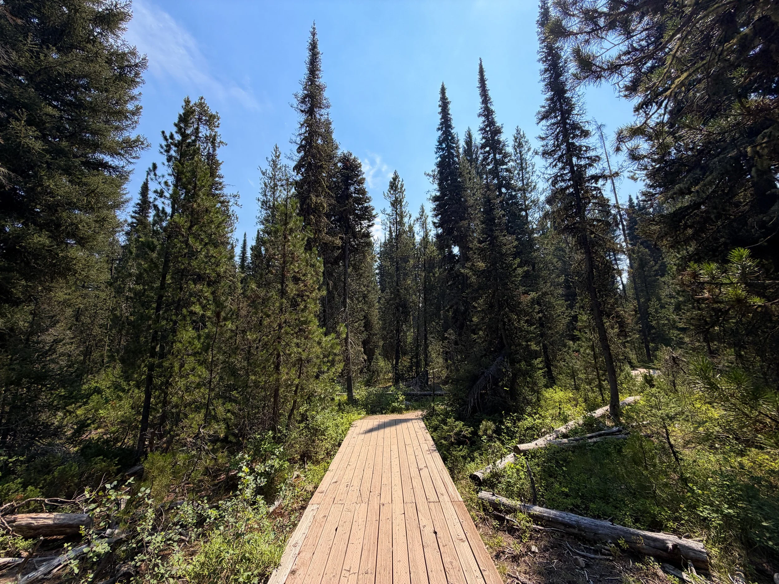 Phelps Lake Loop Trail Grand Teton National Park Wyoming