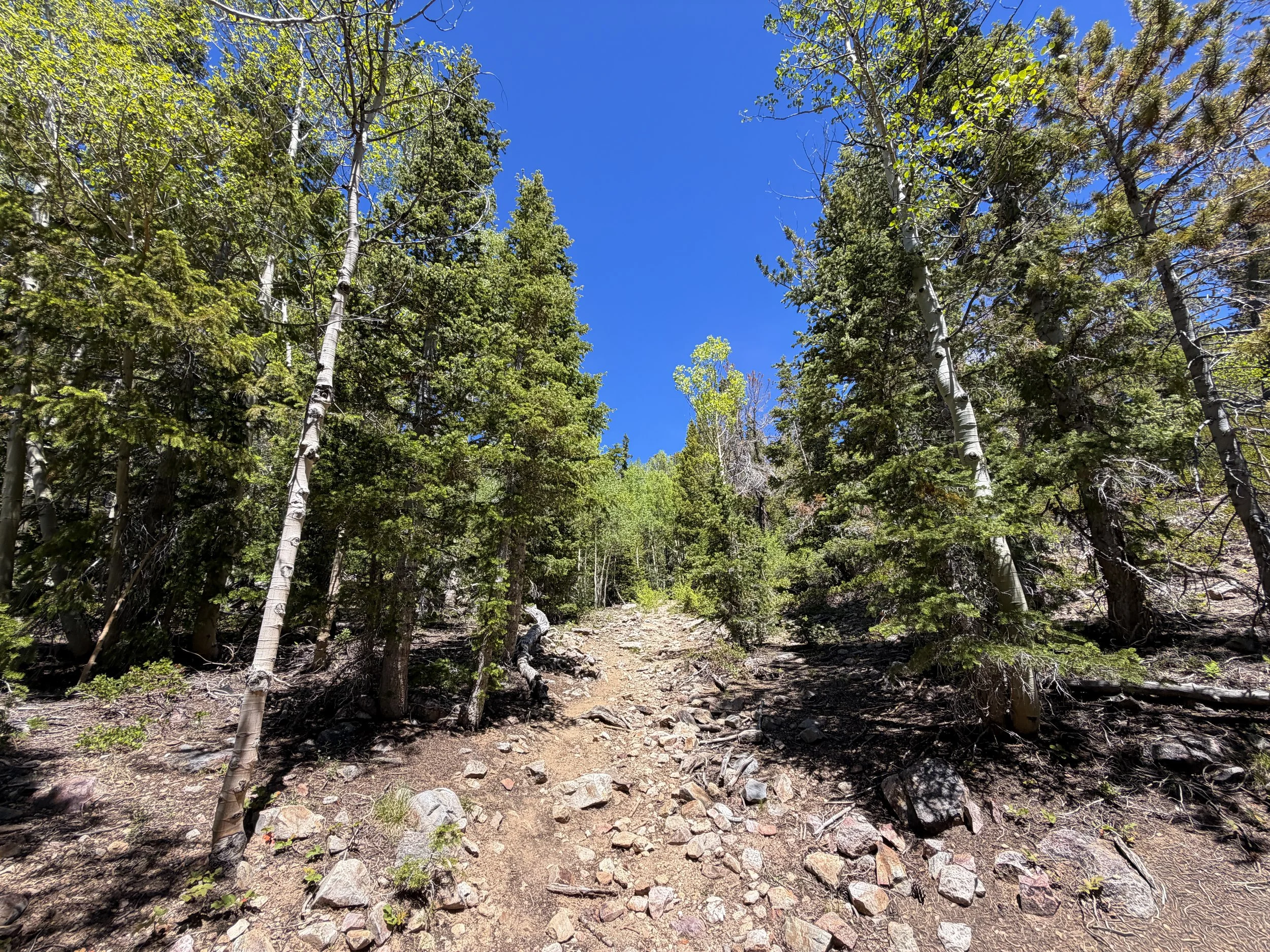 Dead Lake Hike Great Basin National Park Nevada