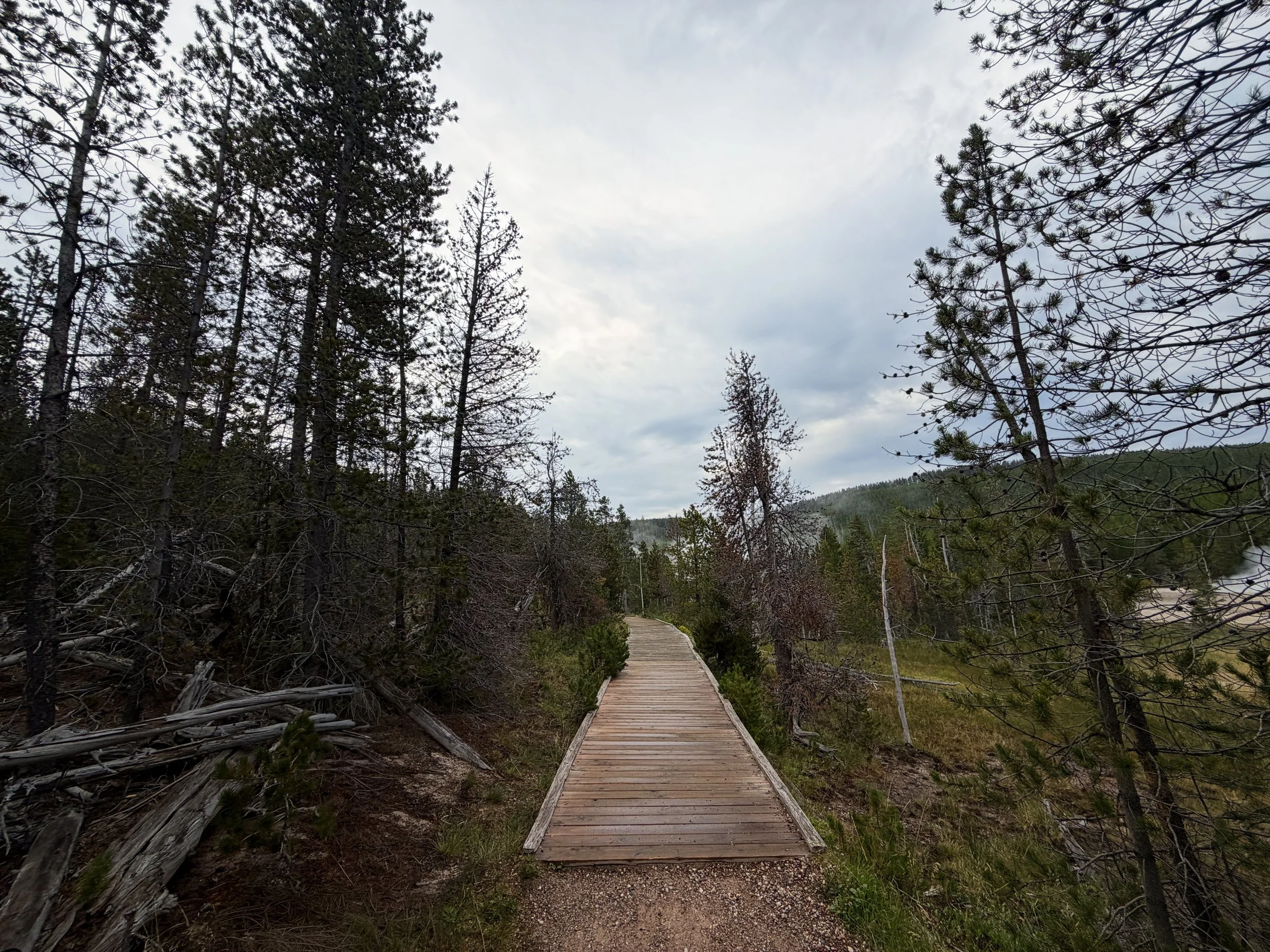 Back Basin Loop Trail Norris Geyser Basin Yellowstone National Park Wyoming