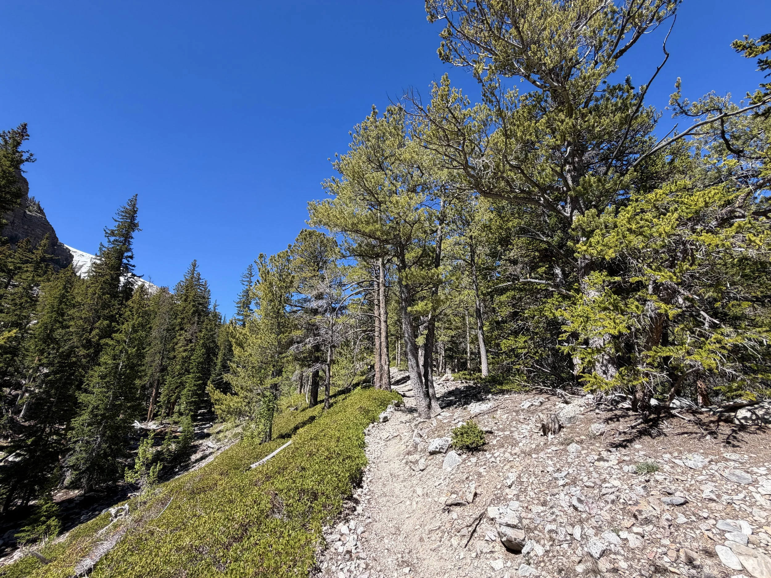 Baker Lake Trail Great Basin National Park Nevada
