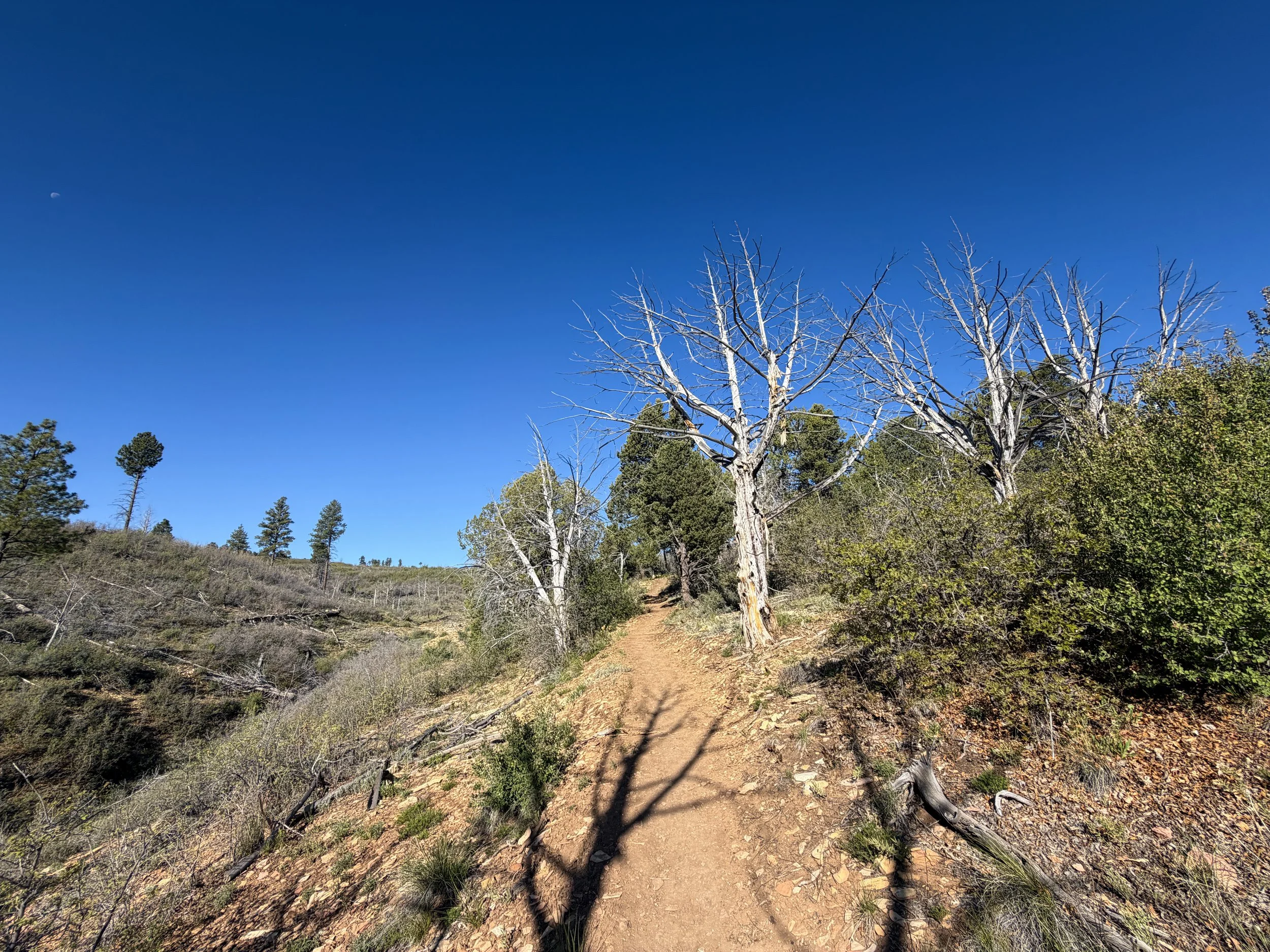 Deertrap Mountain Hike Zion National Park Utah