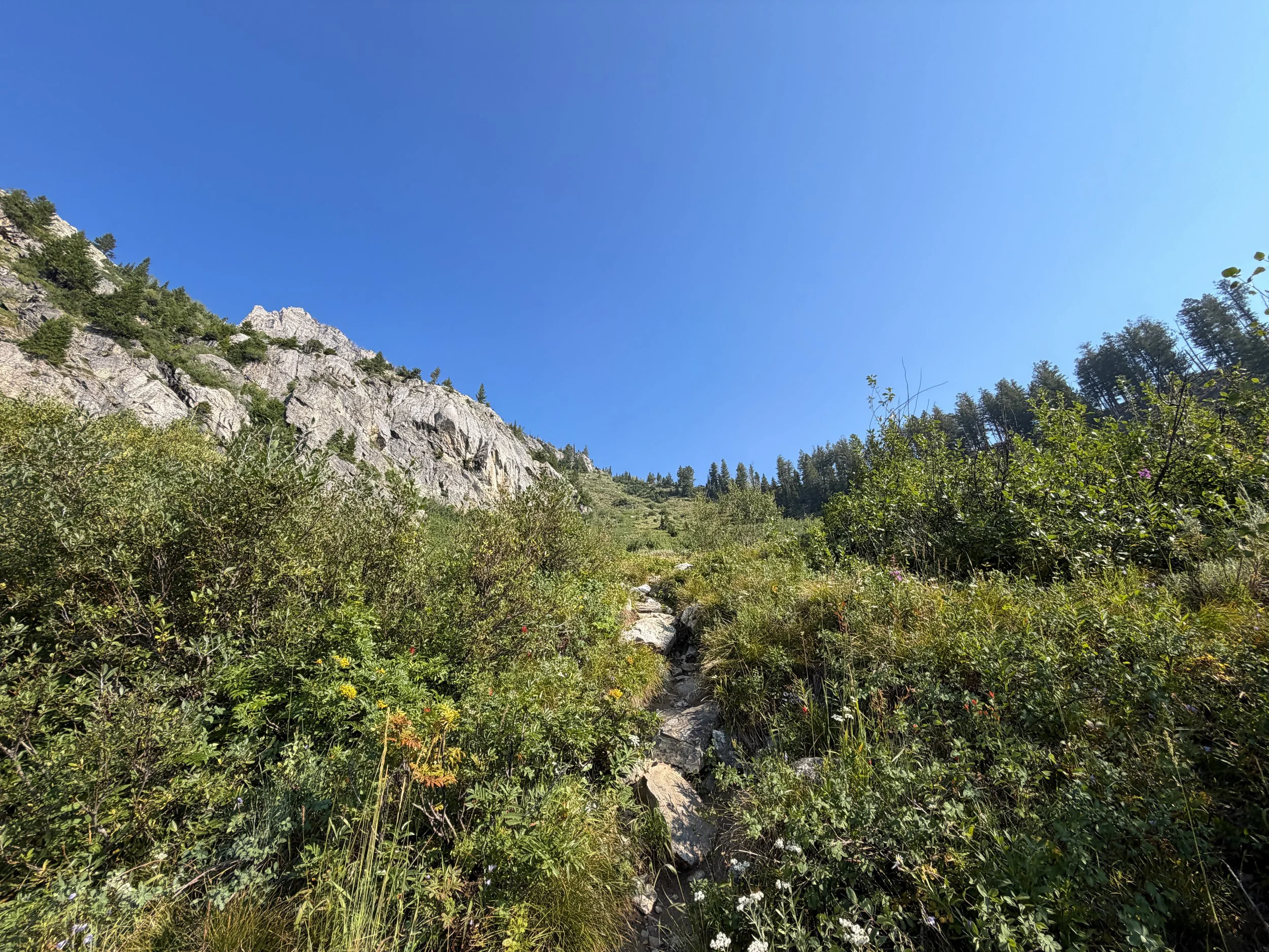 Lake of the Crags Hike Grand Teton National Park Wyoming